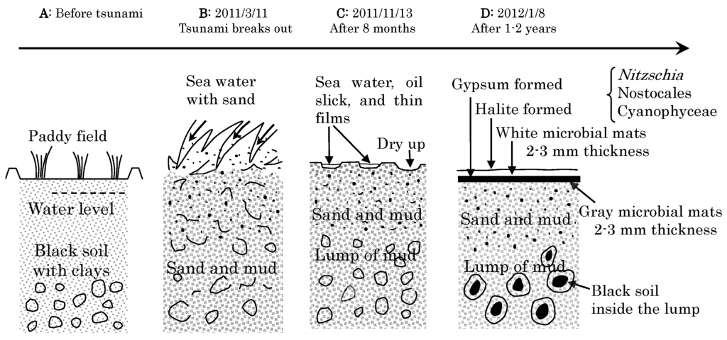 Minerals 05 00529 g005 1024