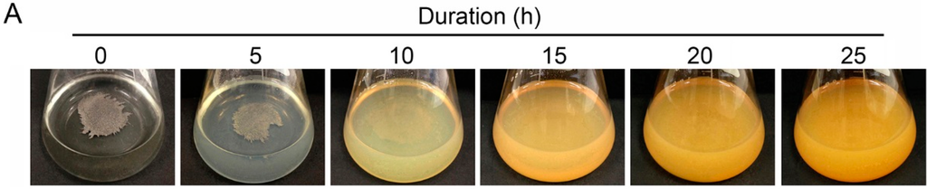 Minerals 06 00004 g001a 1024