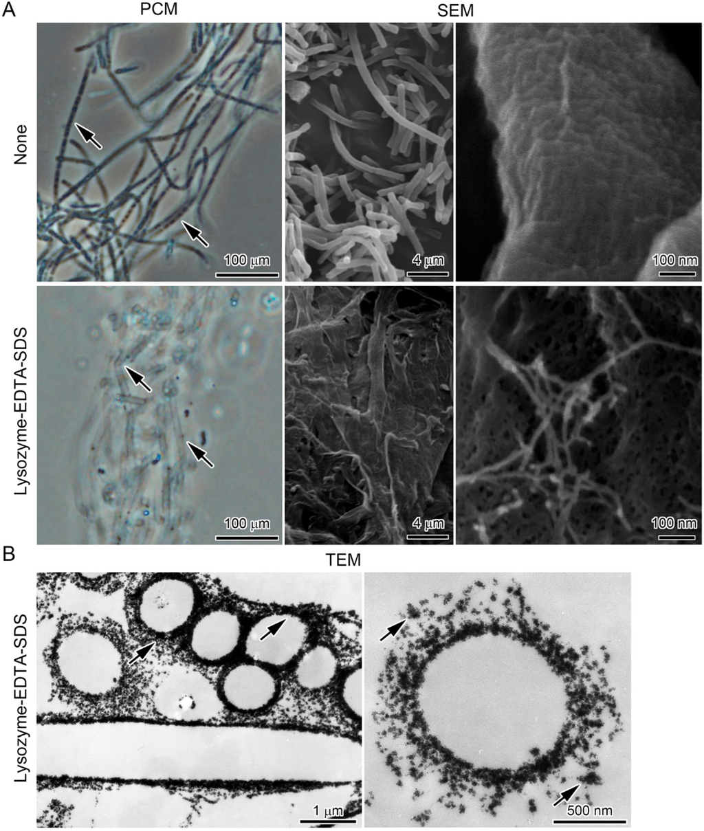 Minerals 06 00004 g005 1024
