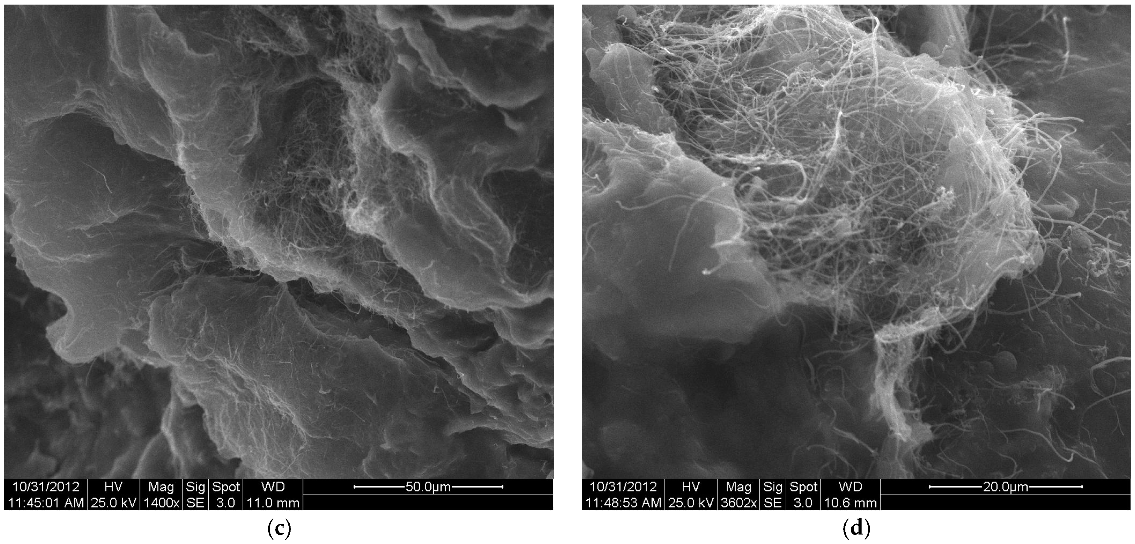 Minerals 06 00009 g004b