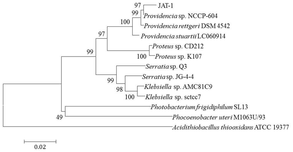 Minerals 06 00012 g002 1024