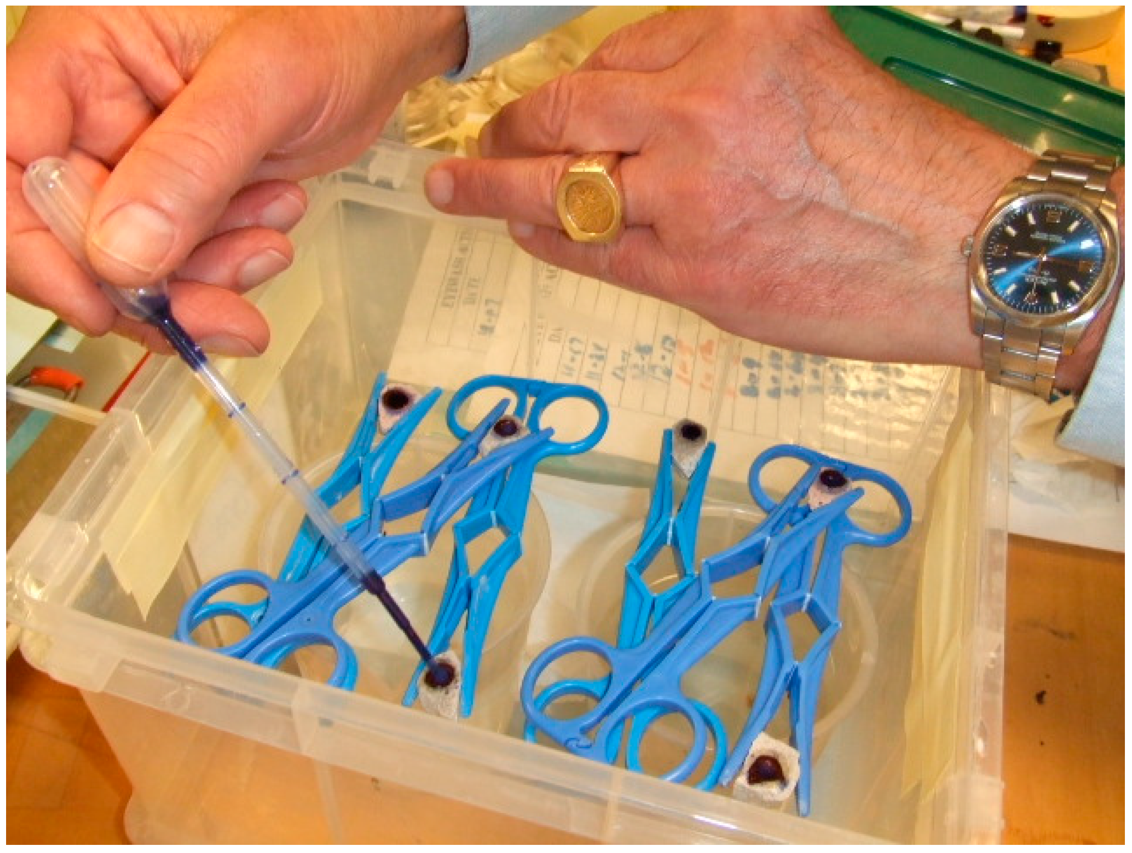 Minerals 06 00016 g004