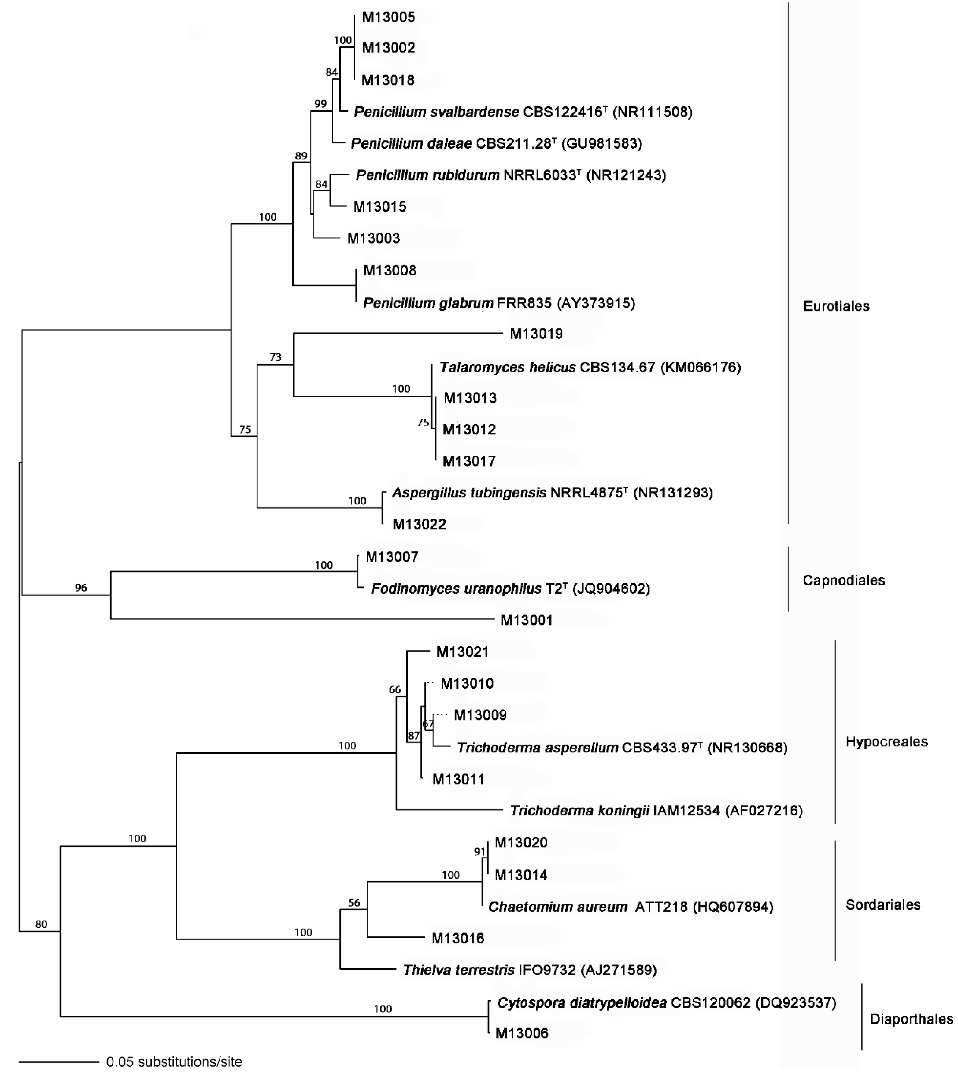 Minerals 06 00037 g003