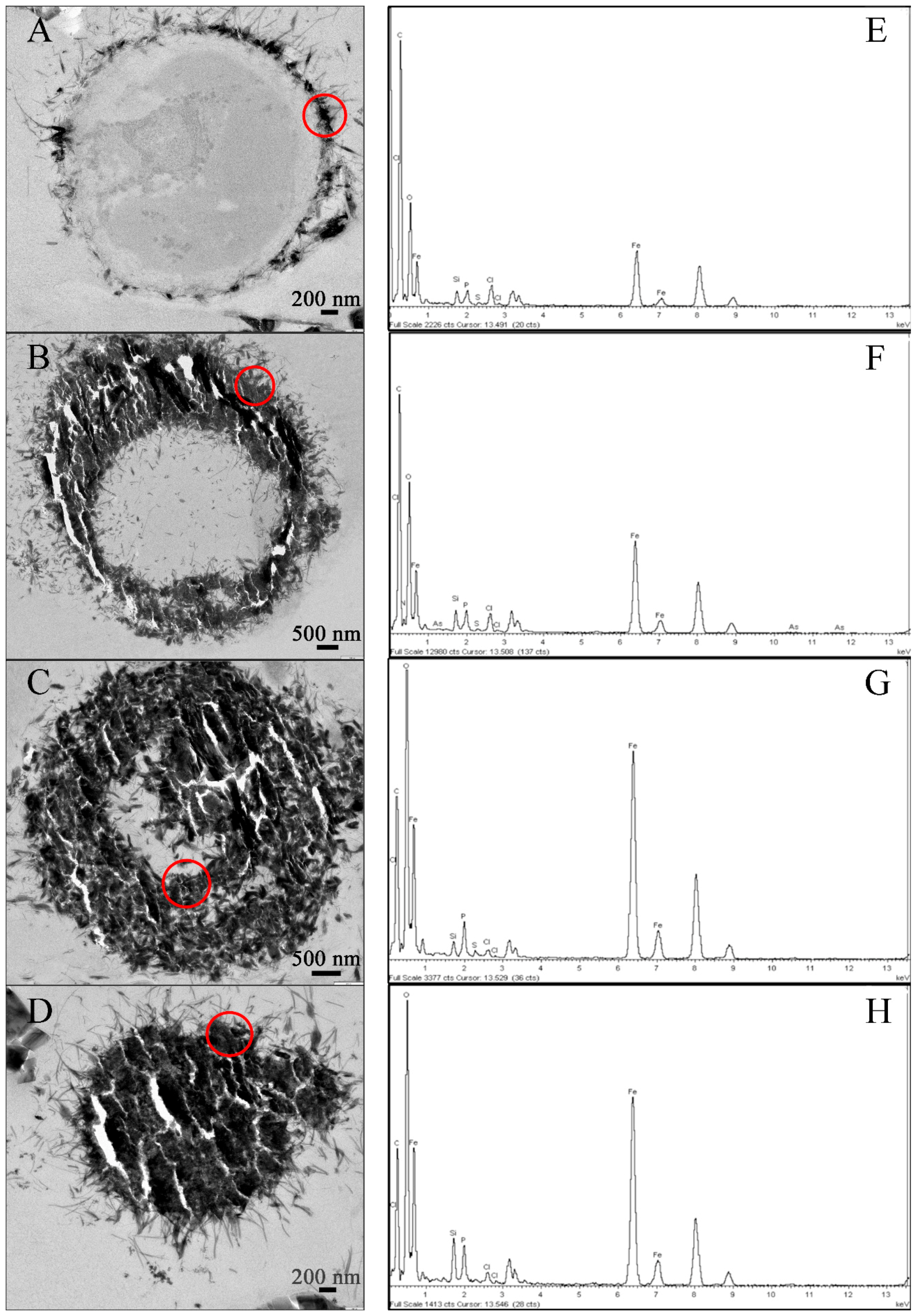 Minerals 06 00037 g004