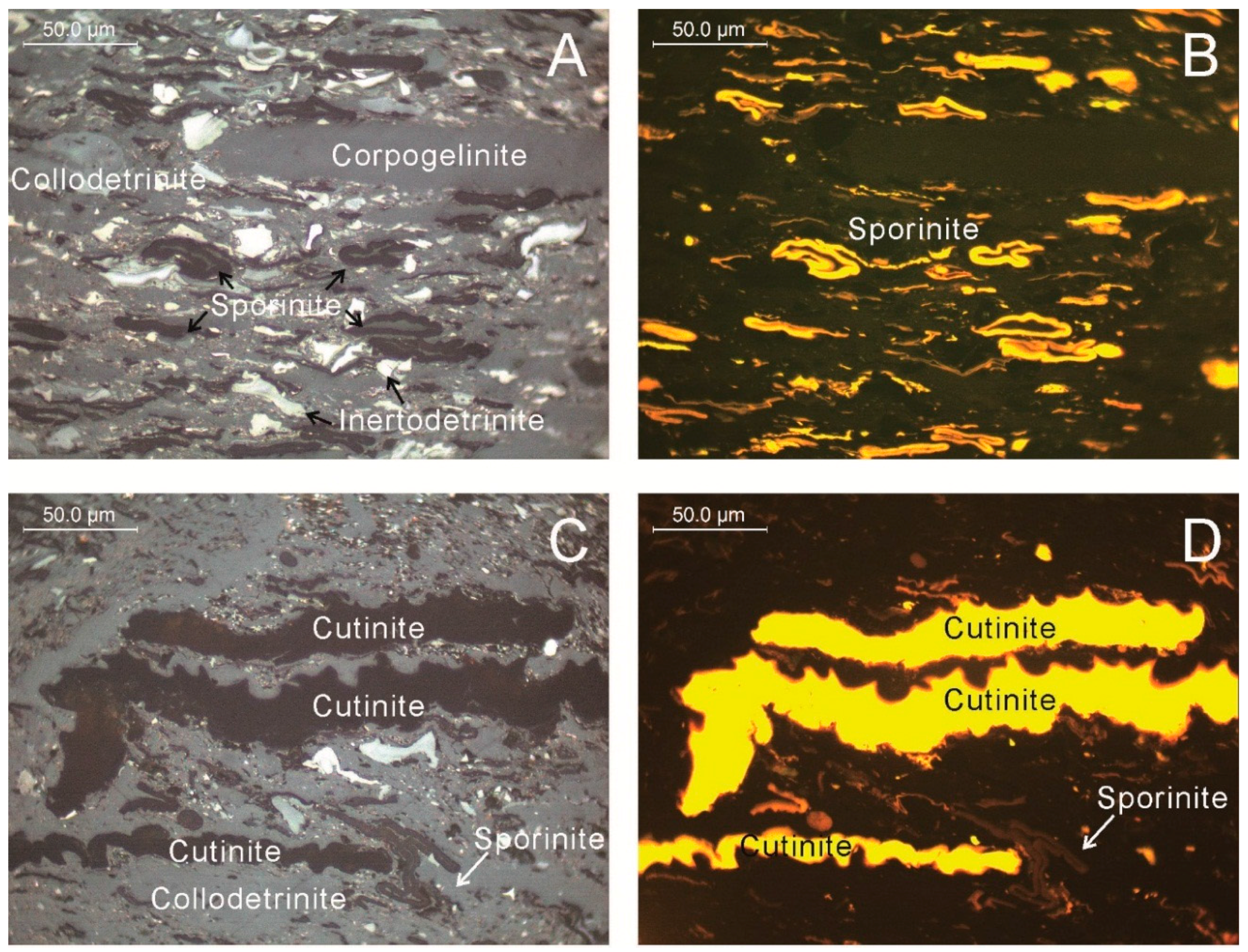 Minerals 06 00058 g005a
