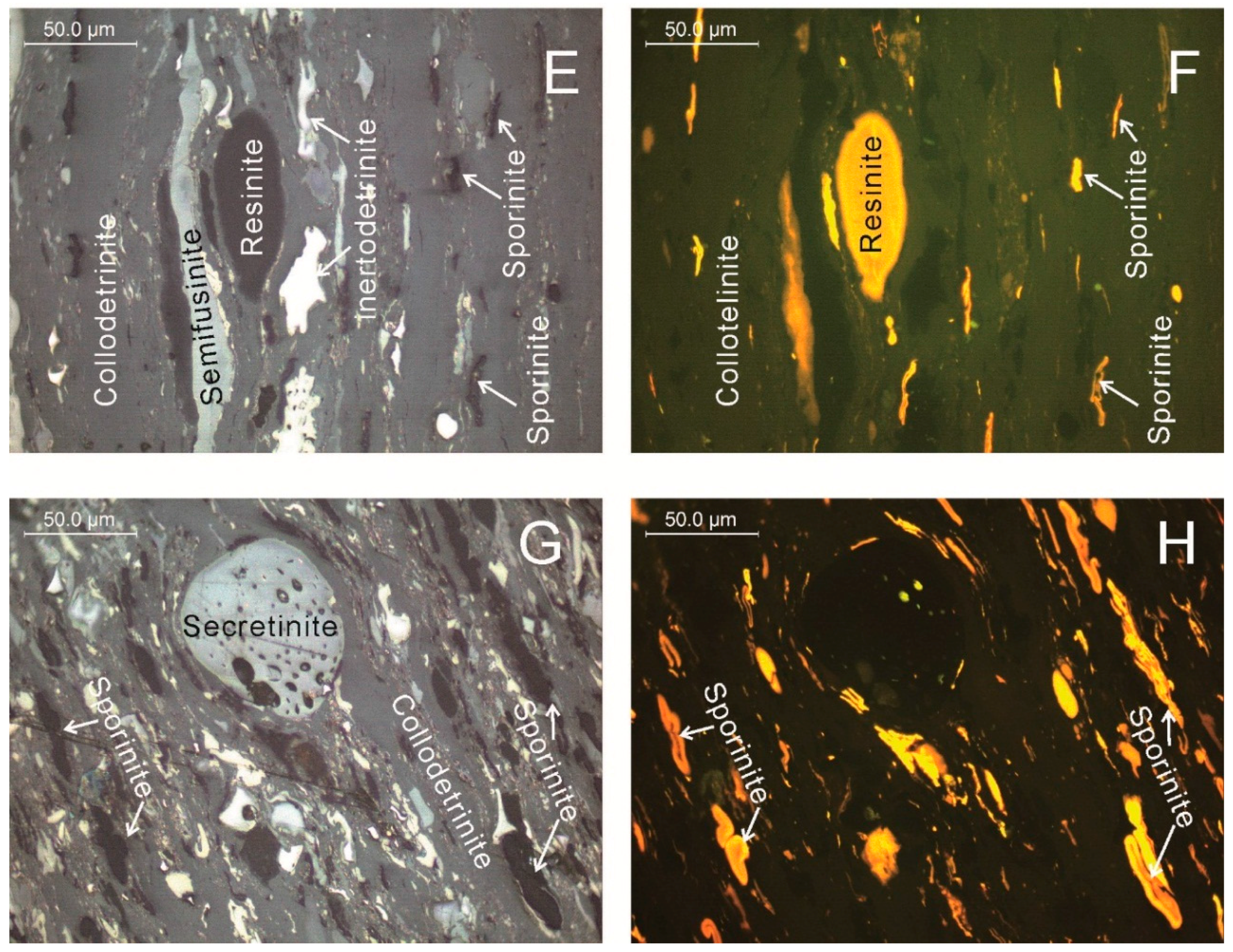 Minerals 06 00058 g005b