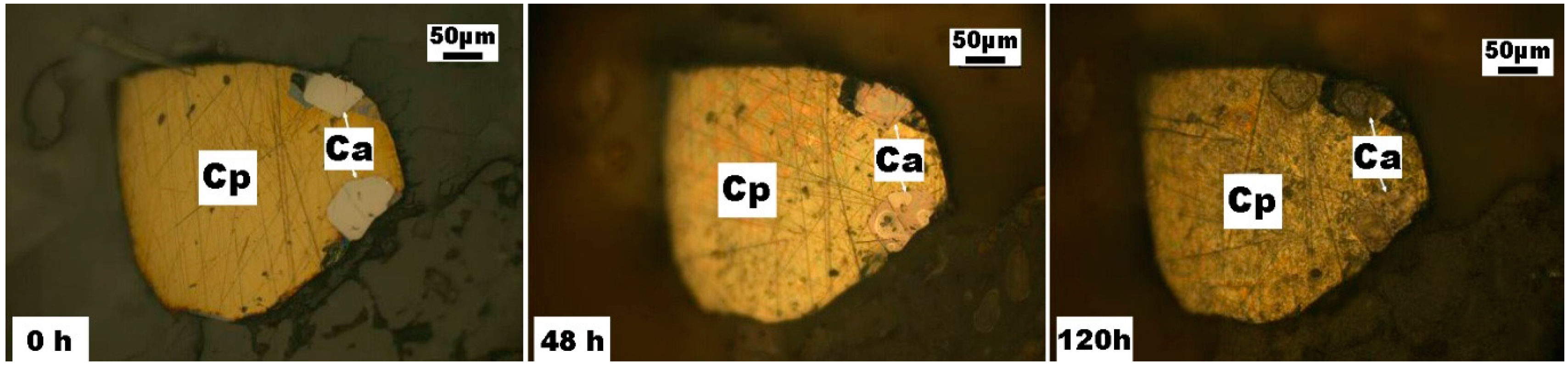 Minerals 06 00067 g002