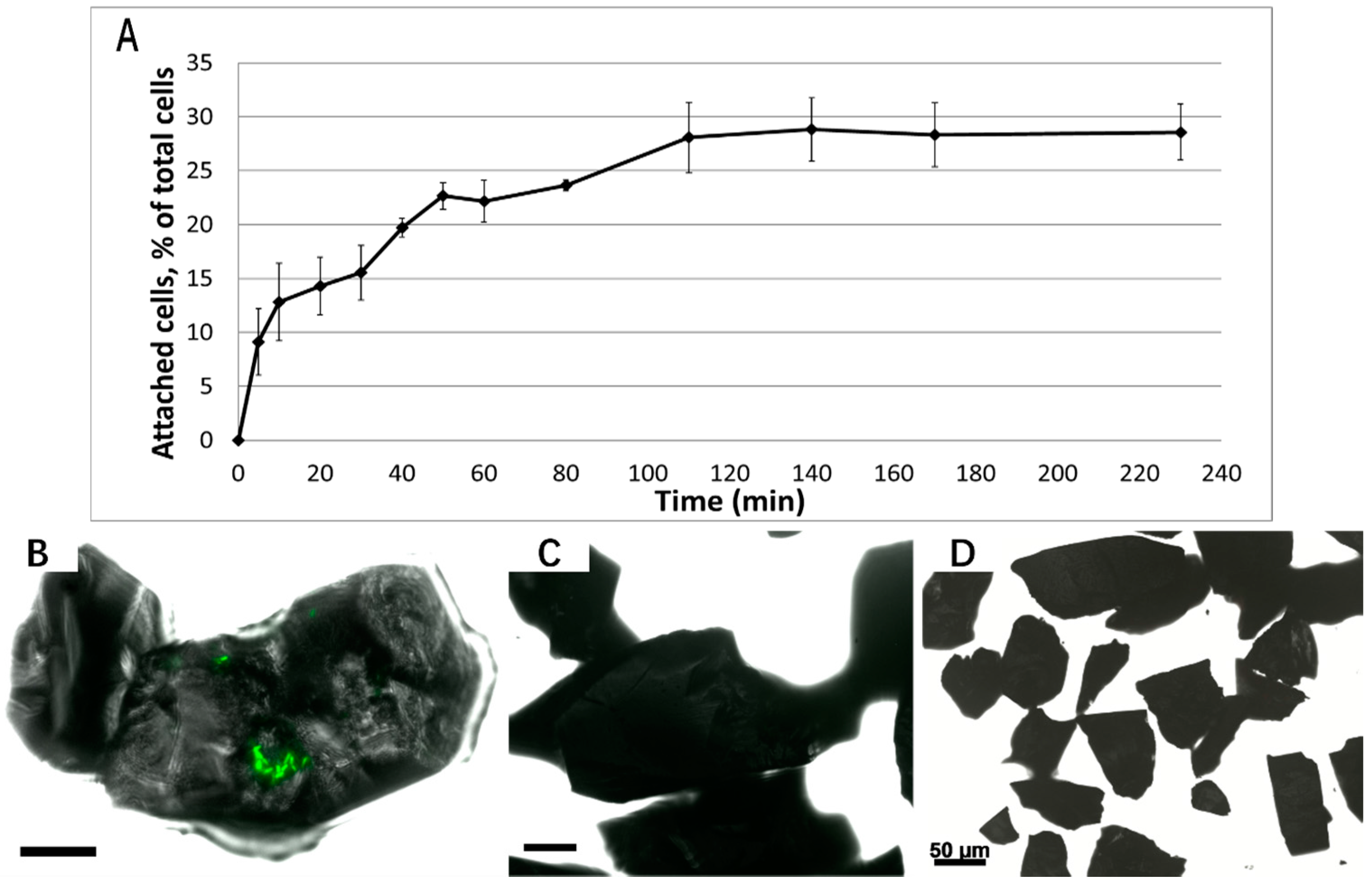 Minerals 06 00071 g001
