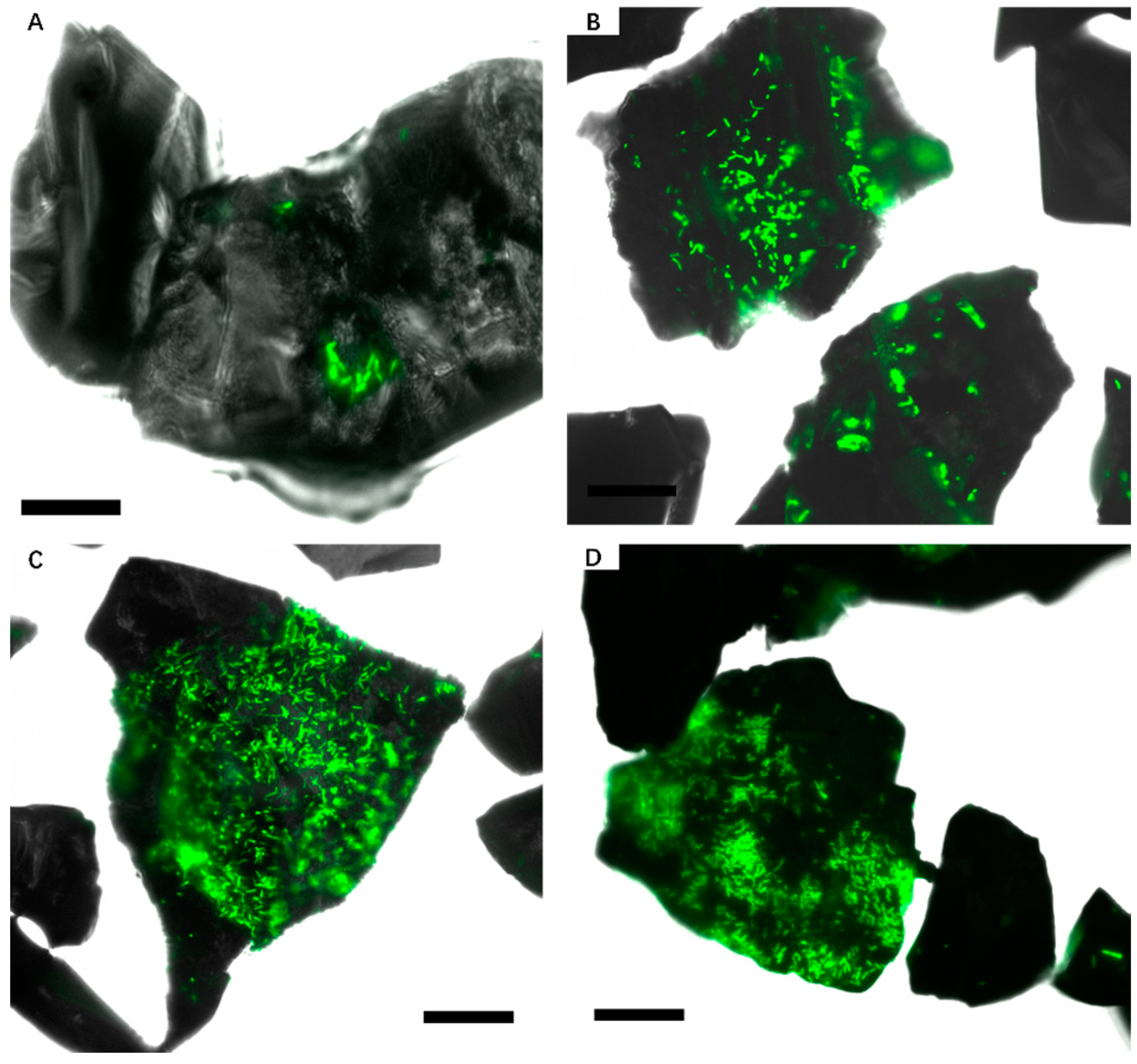 Minerals 06 00071 g004