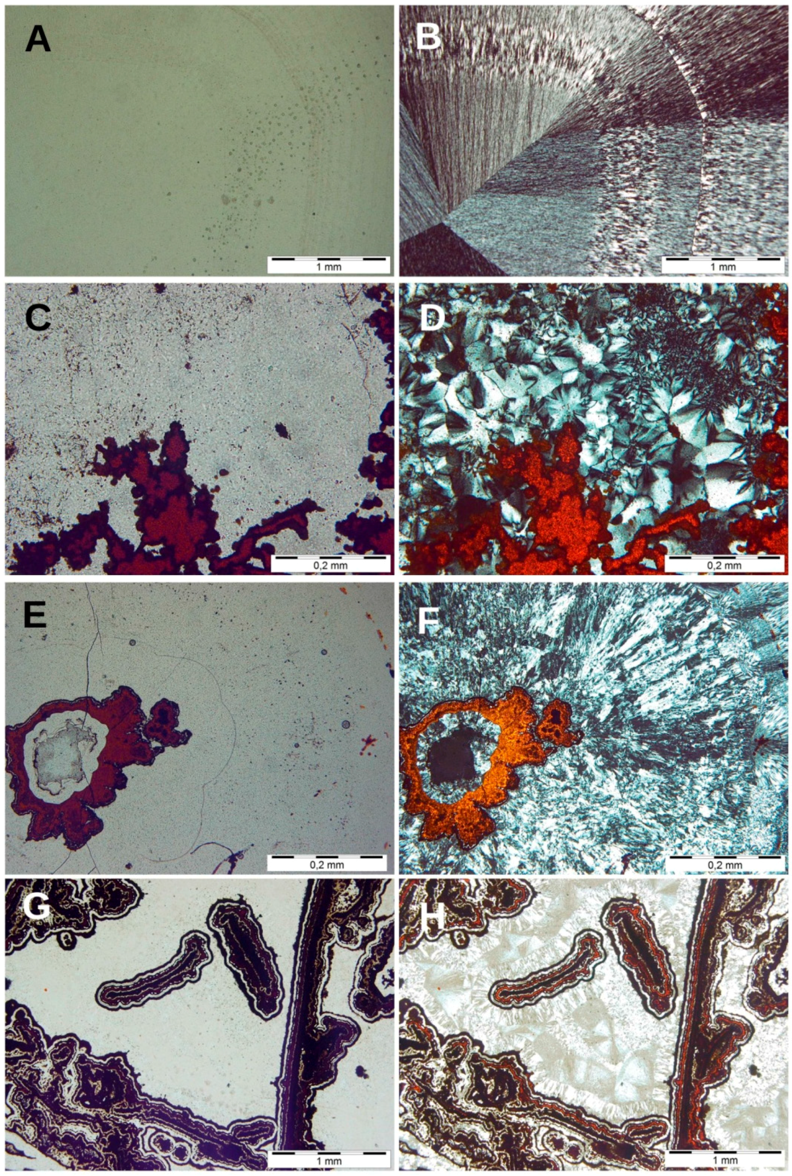 Minerals 06 00077 g003