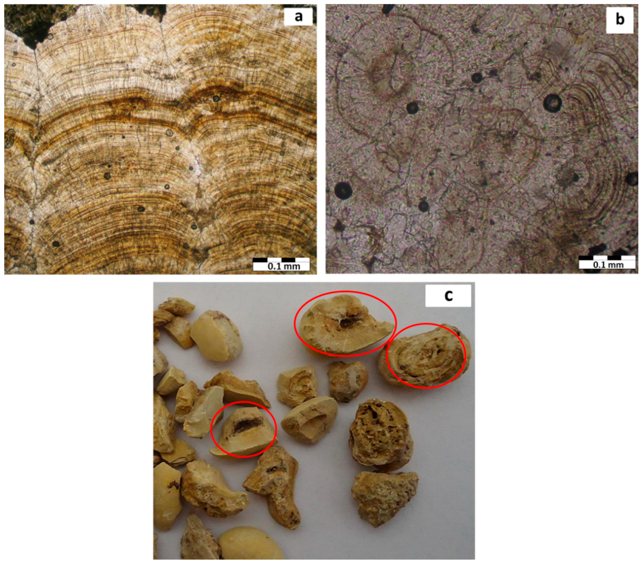 Minerals 06 00131 g007