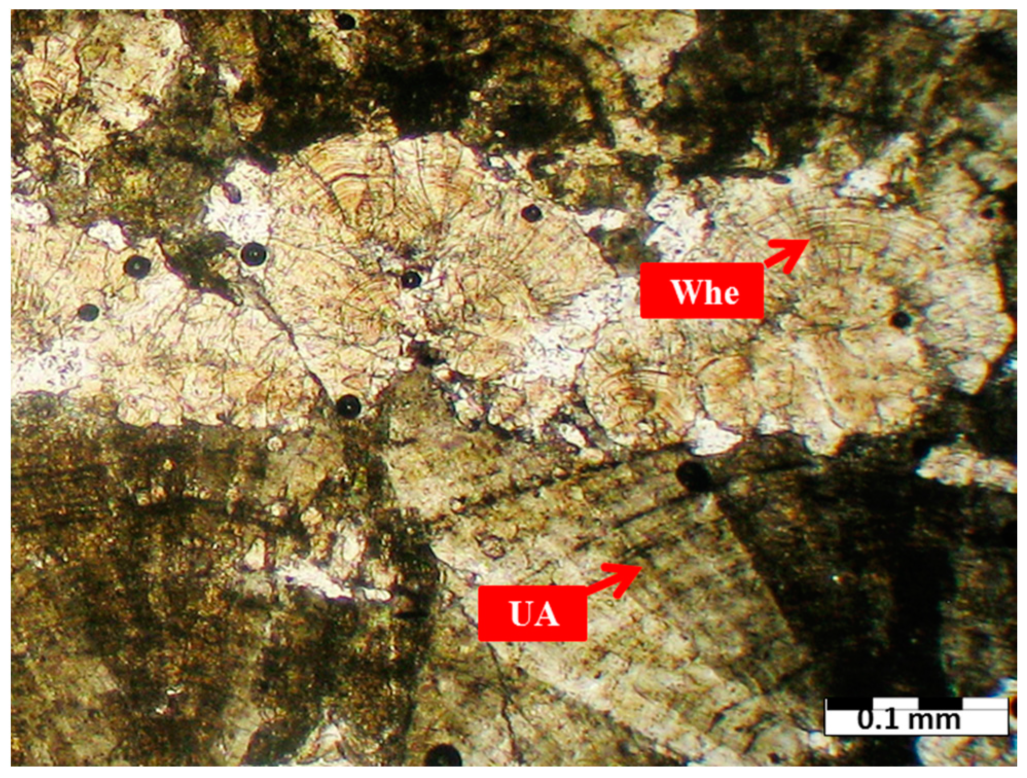 Minerals 06 00131 g010