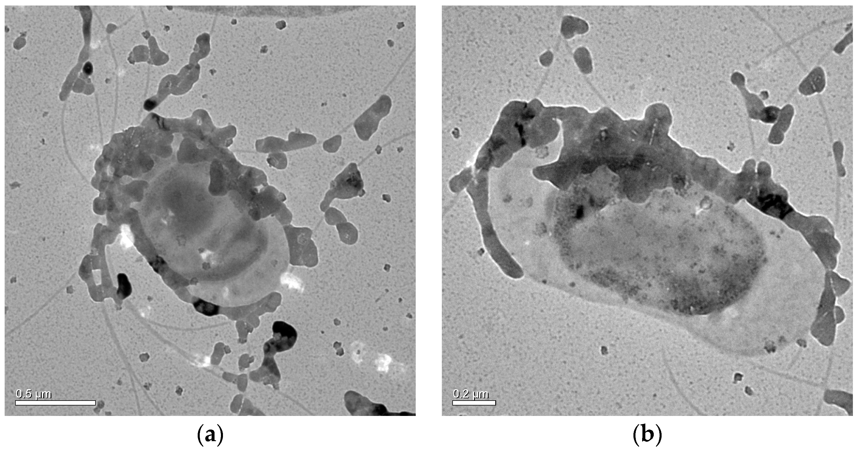 Minerals 07 00095 g001