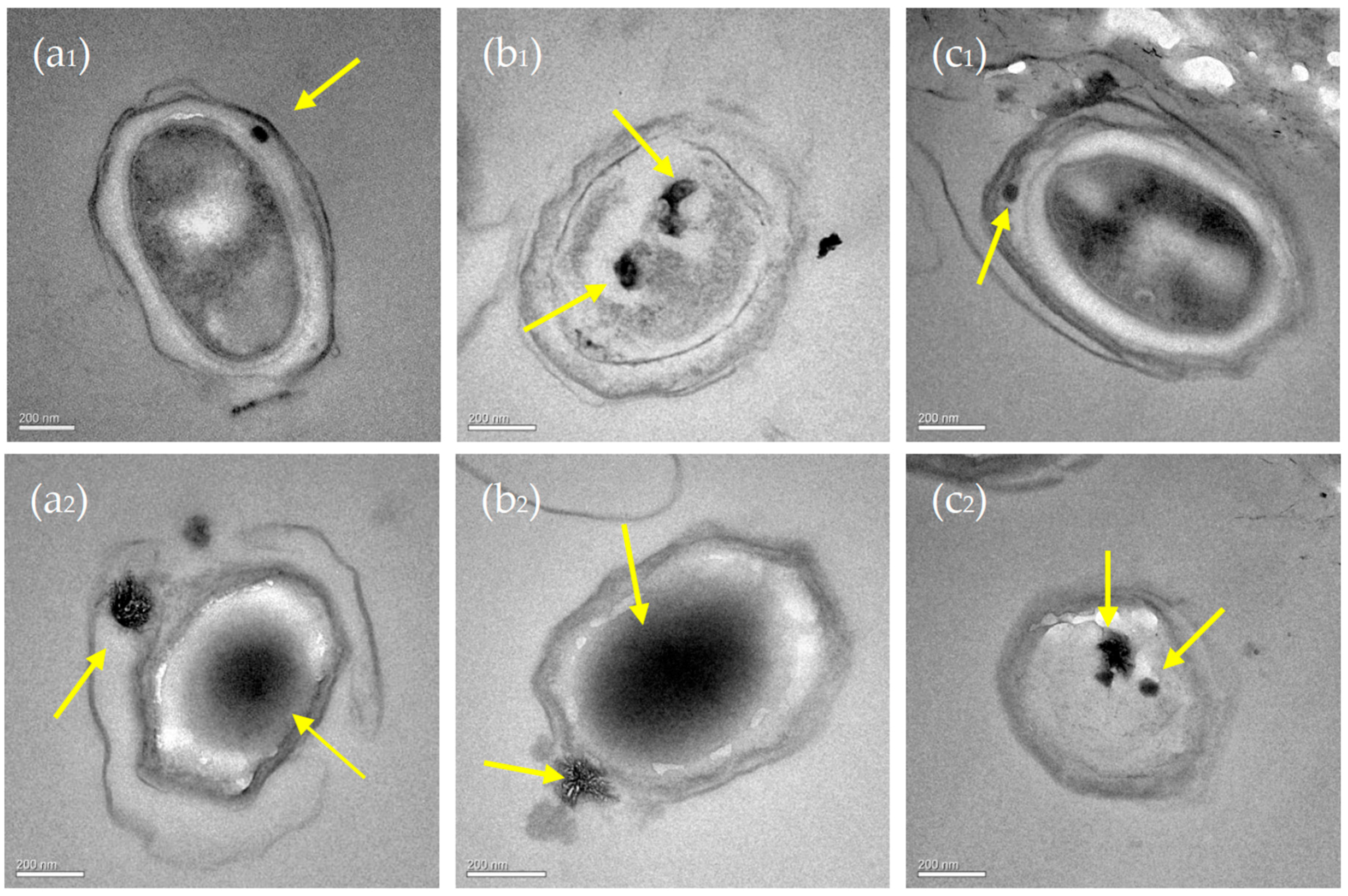Minerals 07 00095 g011