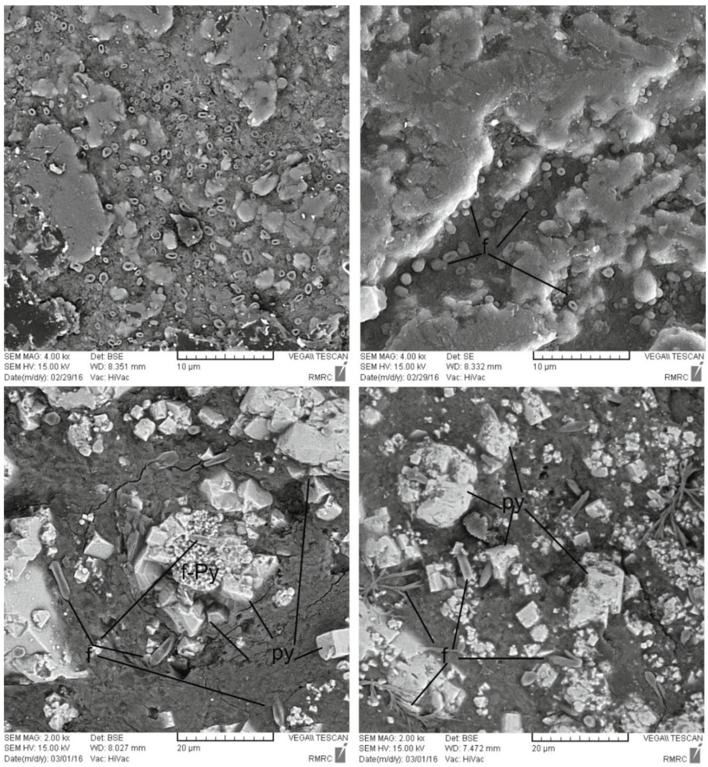 Minerals 07 00097 g007