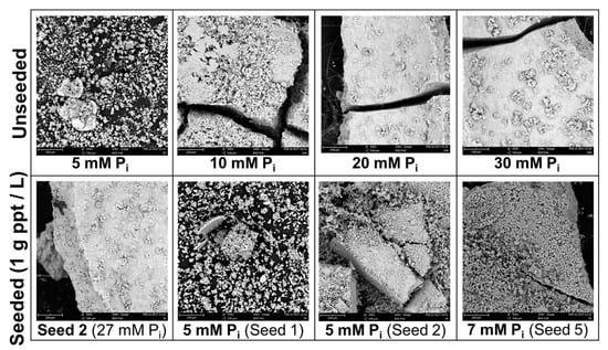 Minerals 07 00129 g010