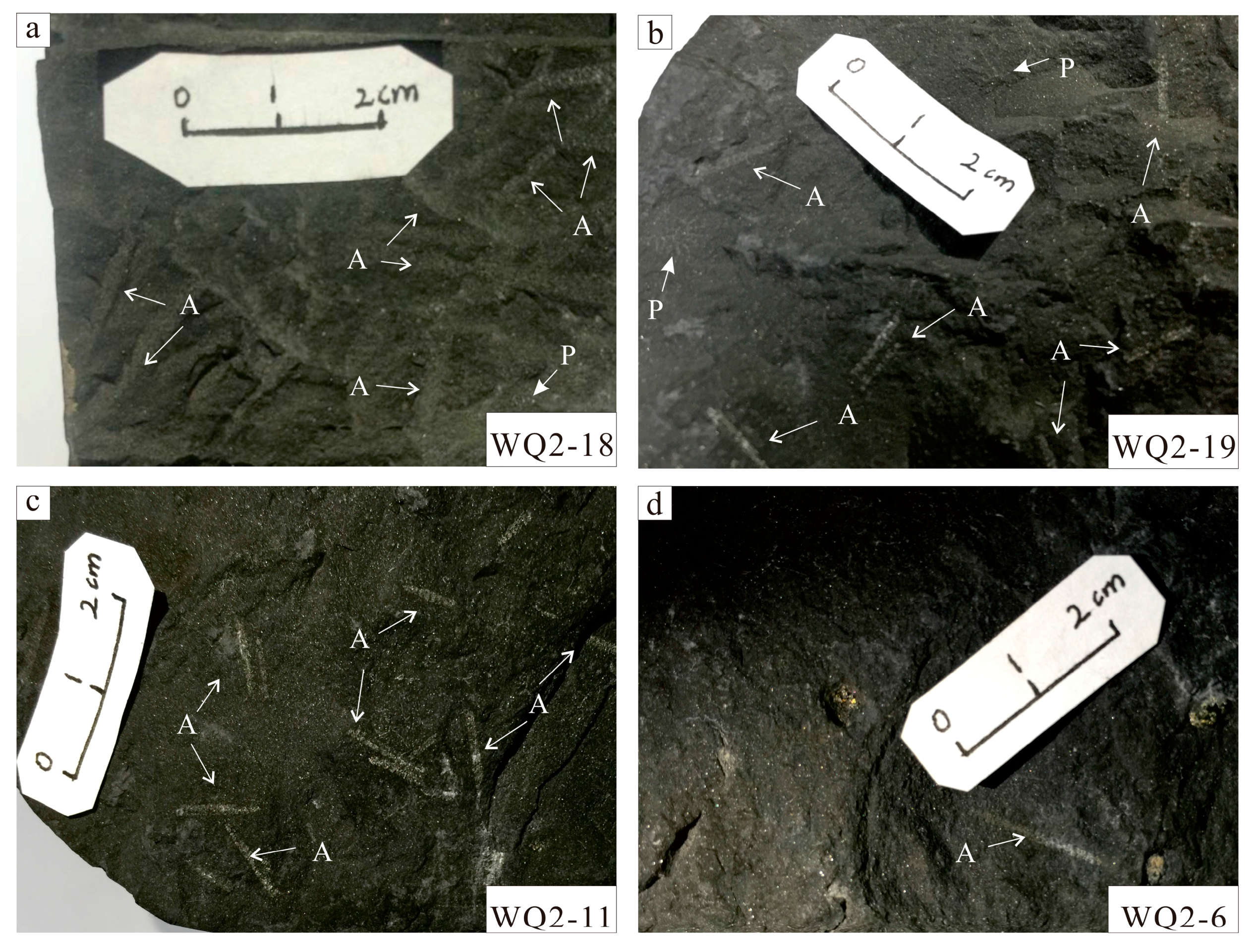 Minerals 07 00151 g004