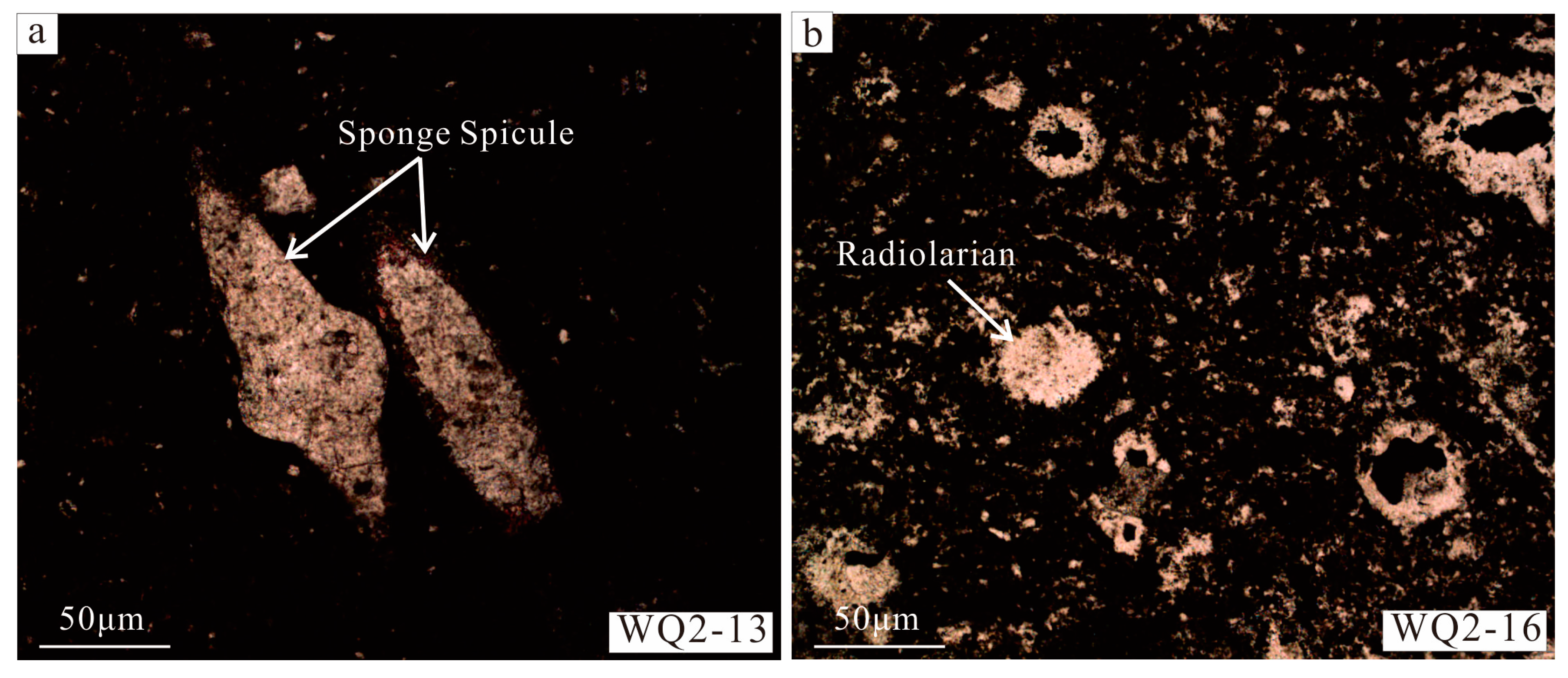 Minerals 07 00151 g008