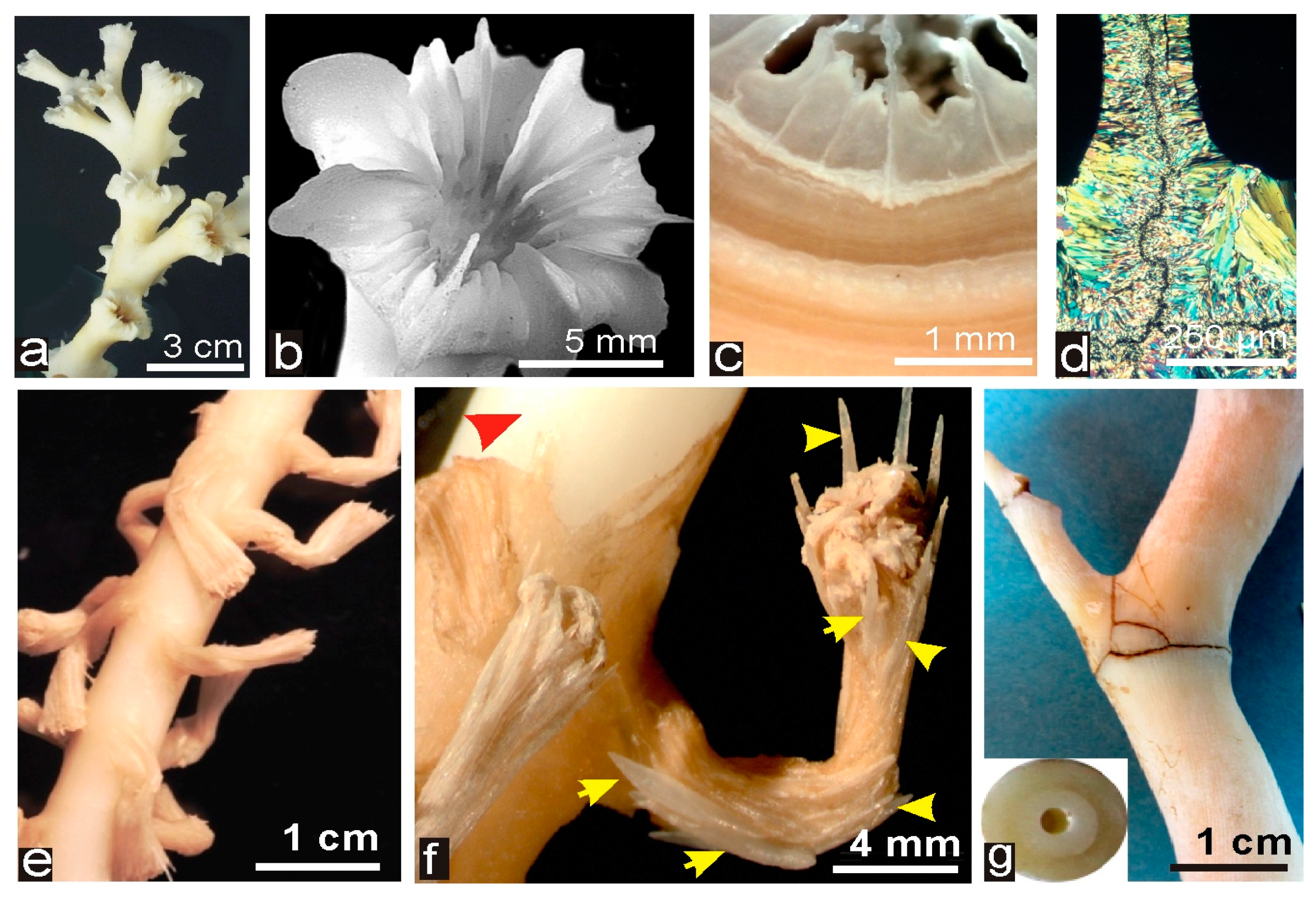 Minerals 07 00154 g001