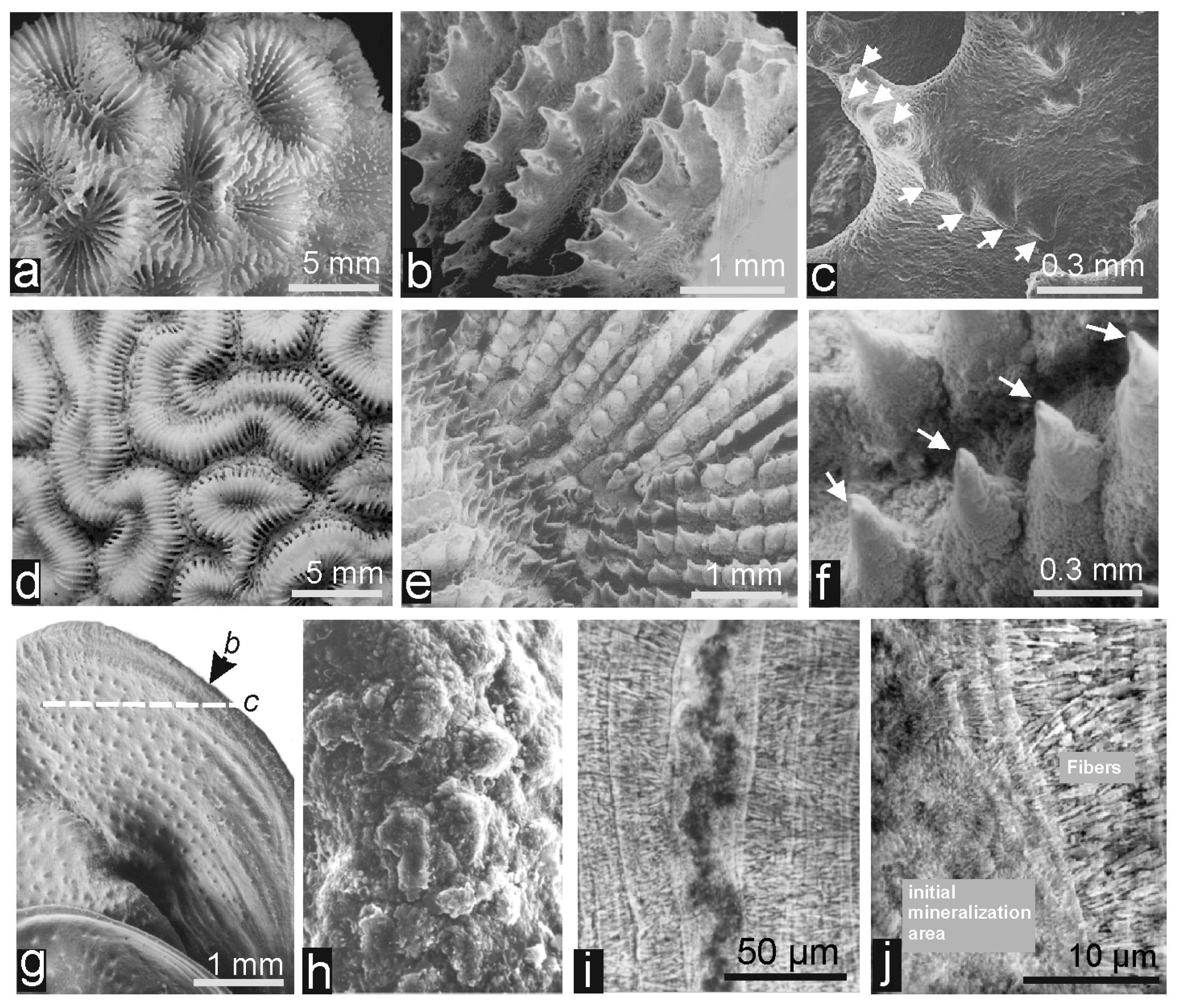 Minerals 07 00154 g002