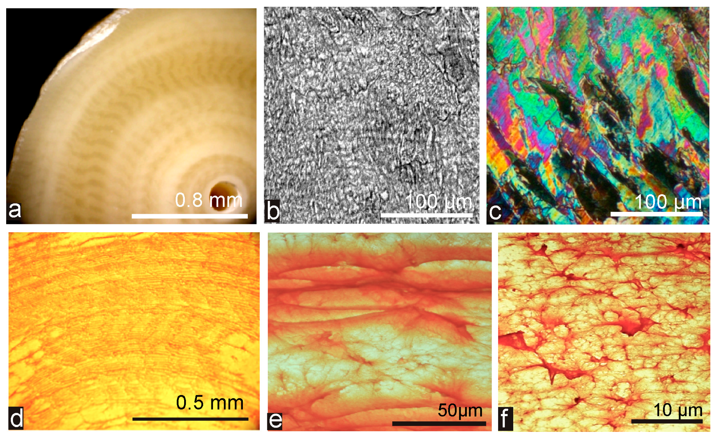 Minerals 07 00154 g004
