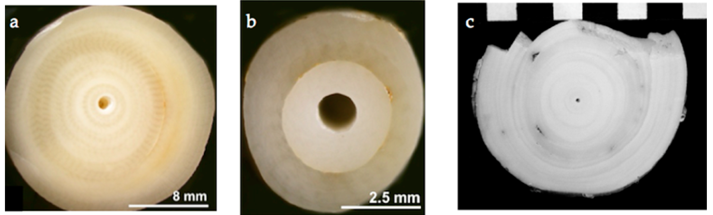 Minerals 07 00154 g005