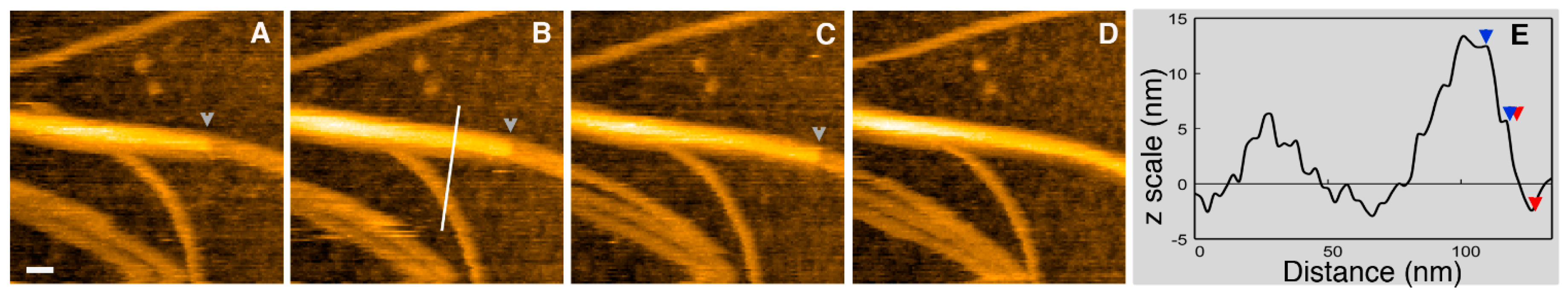 Minerals 07 00158 g001