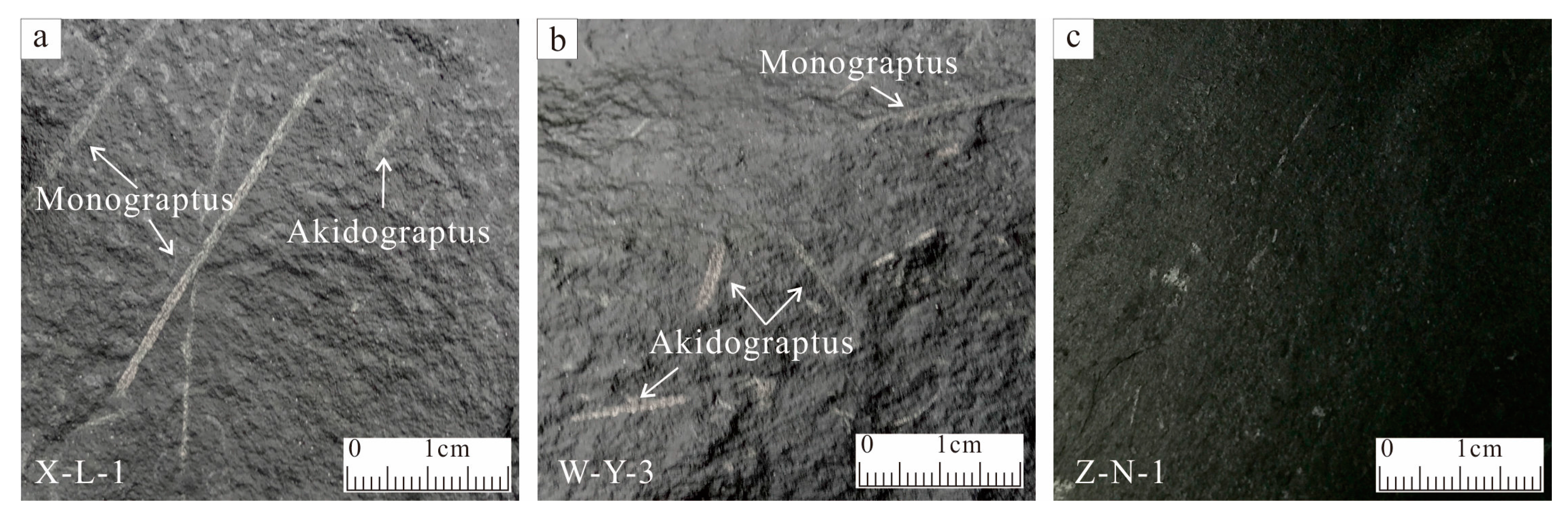 Minerals 07 00179 g003