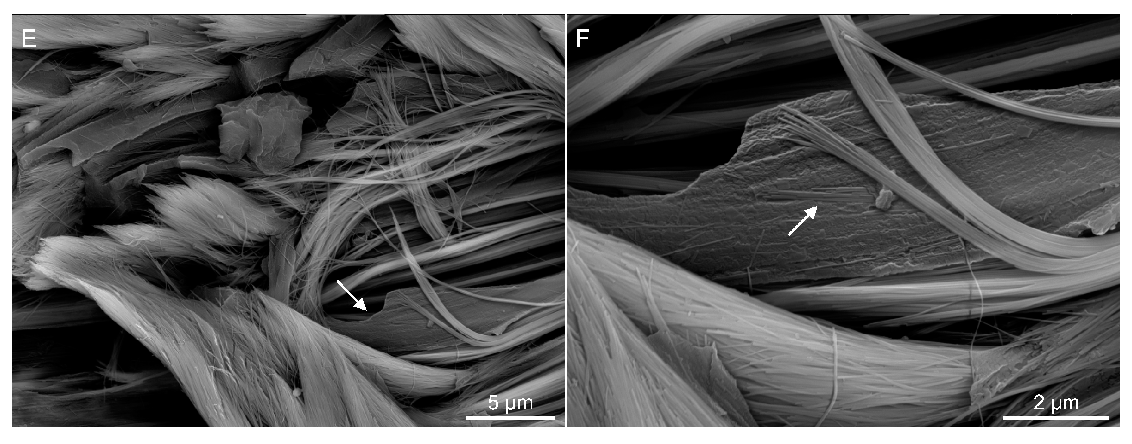 Minerals 07 00191 g003b Minerals 07 00191 g003b