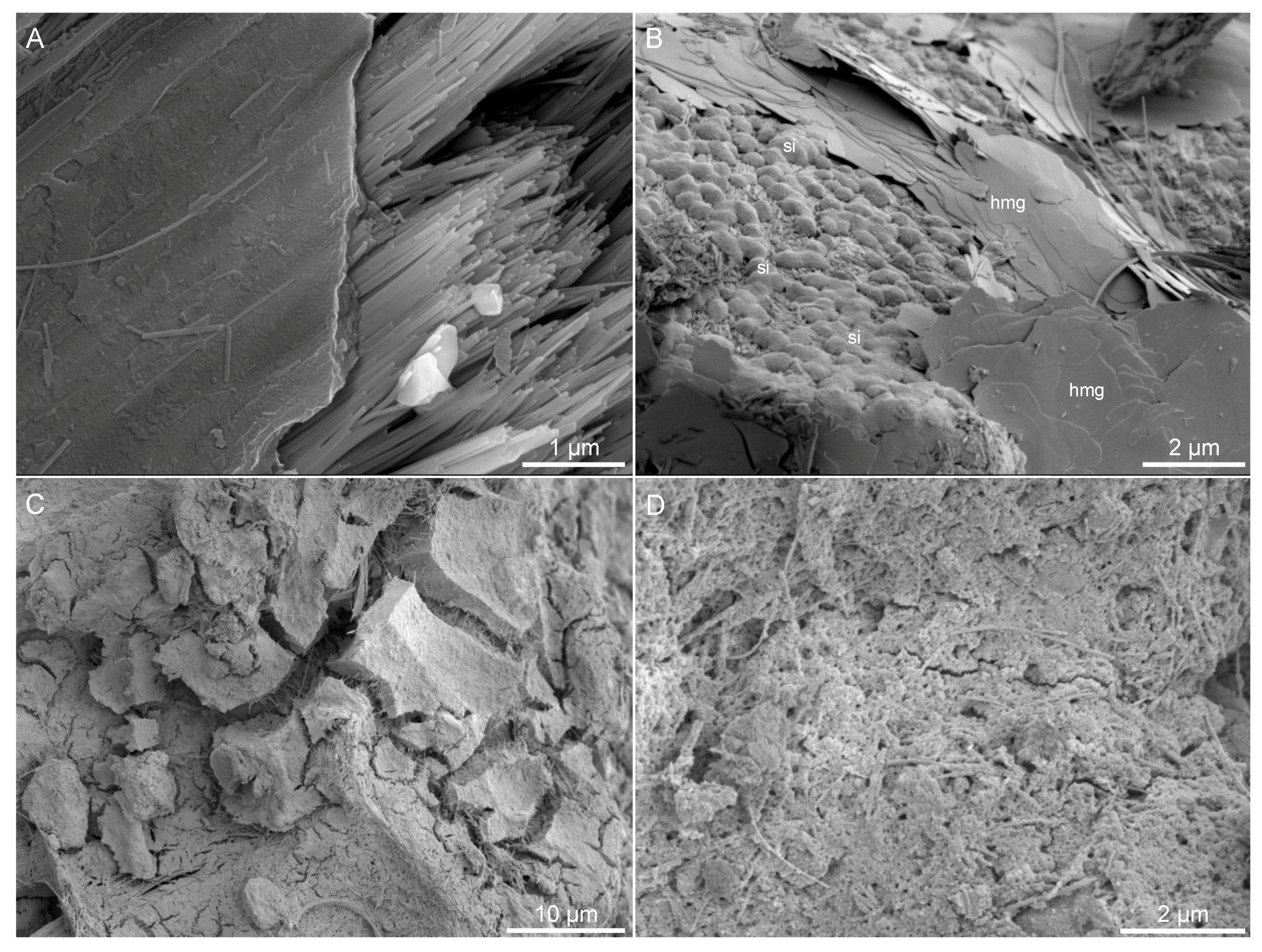 Minerals 07 00191 g004 Minerals 07 00191 g004