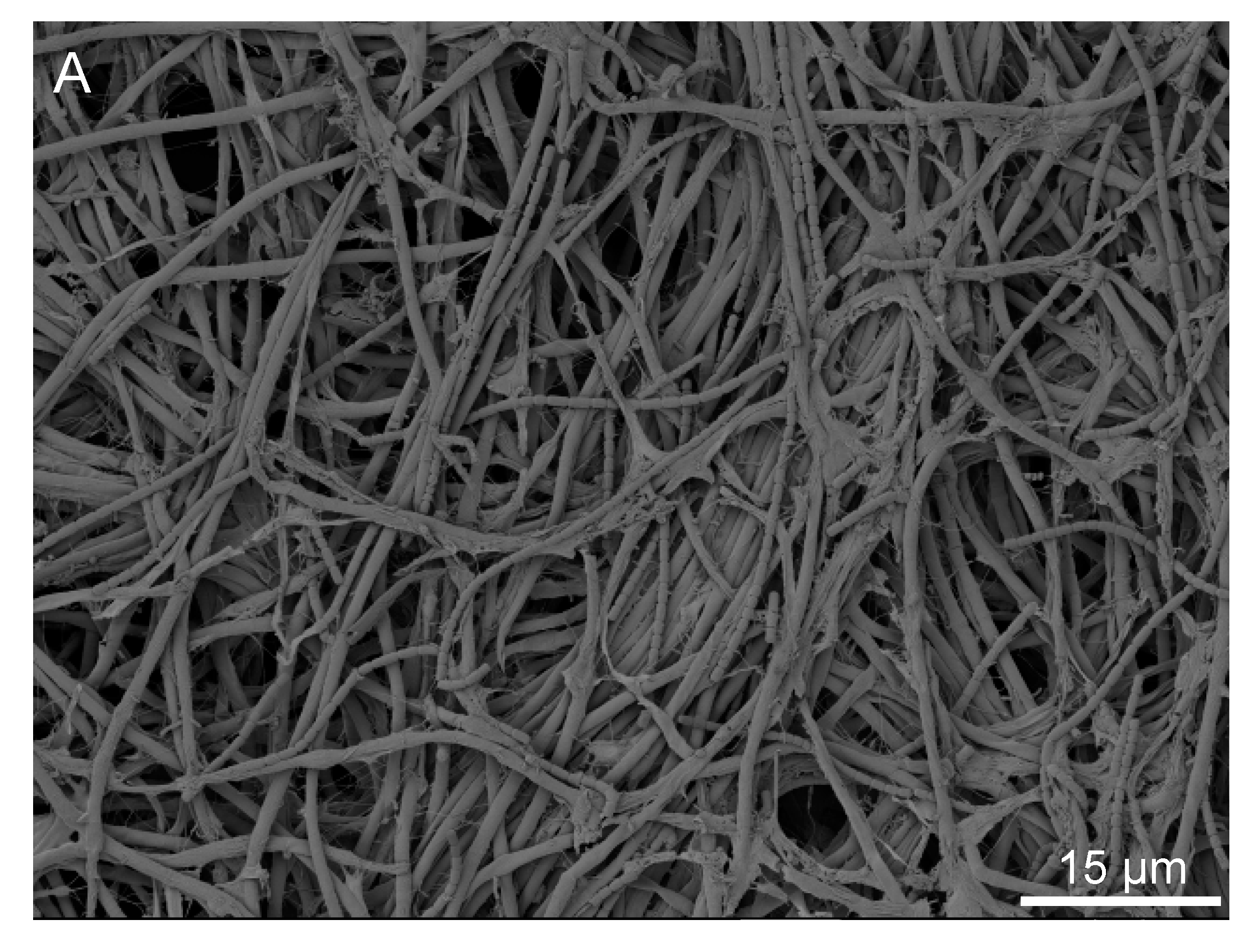 Minerals 07 00191 g006a Minerals 07 00191 g006a