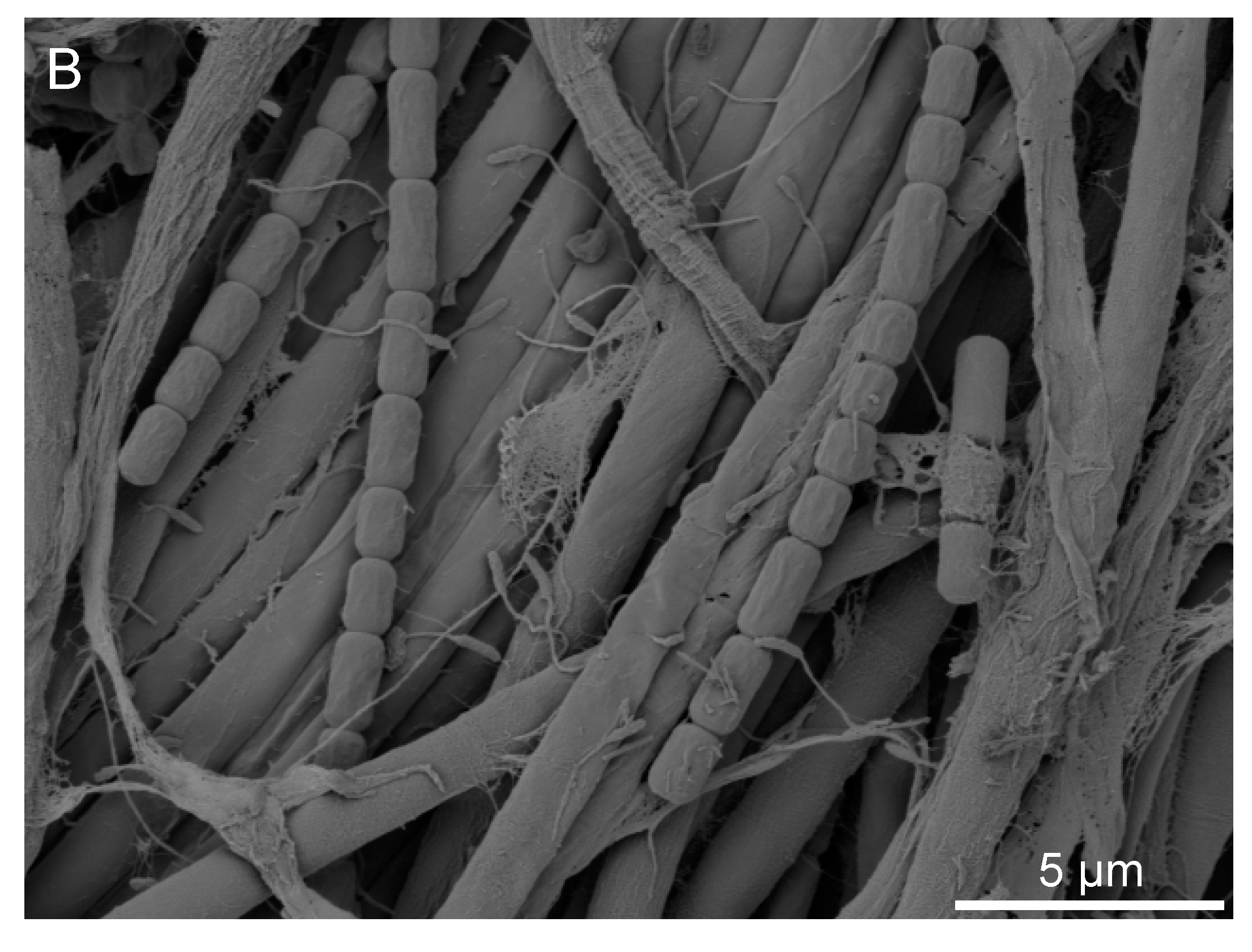 Minerals 07 00191 g006b Minerals 07 00191 g006b