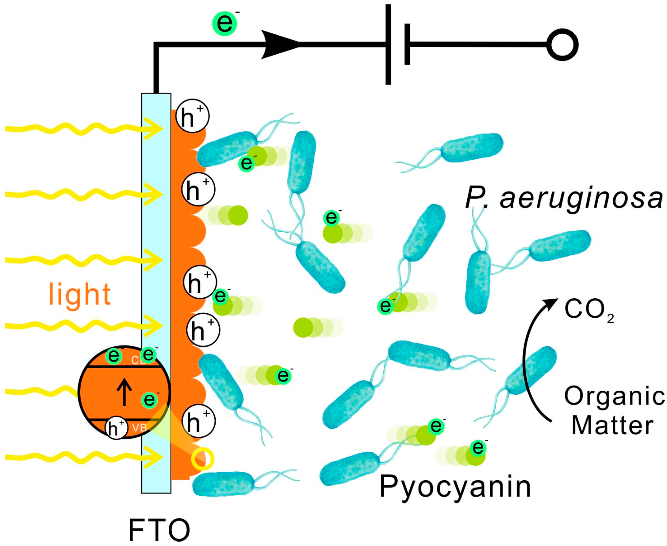 Minerals 07 00230 g008