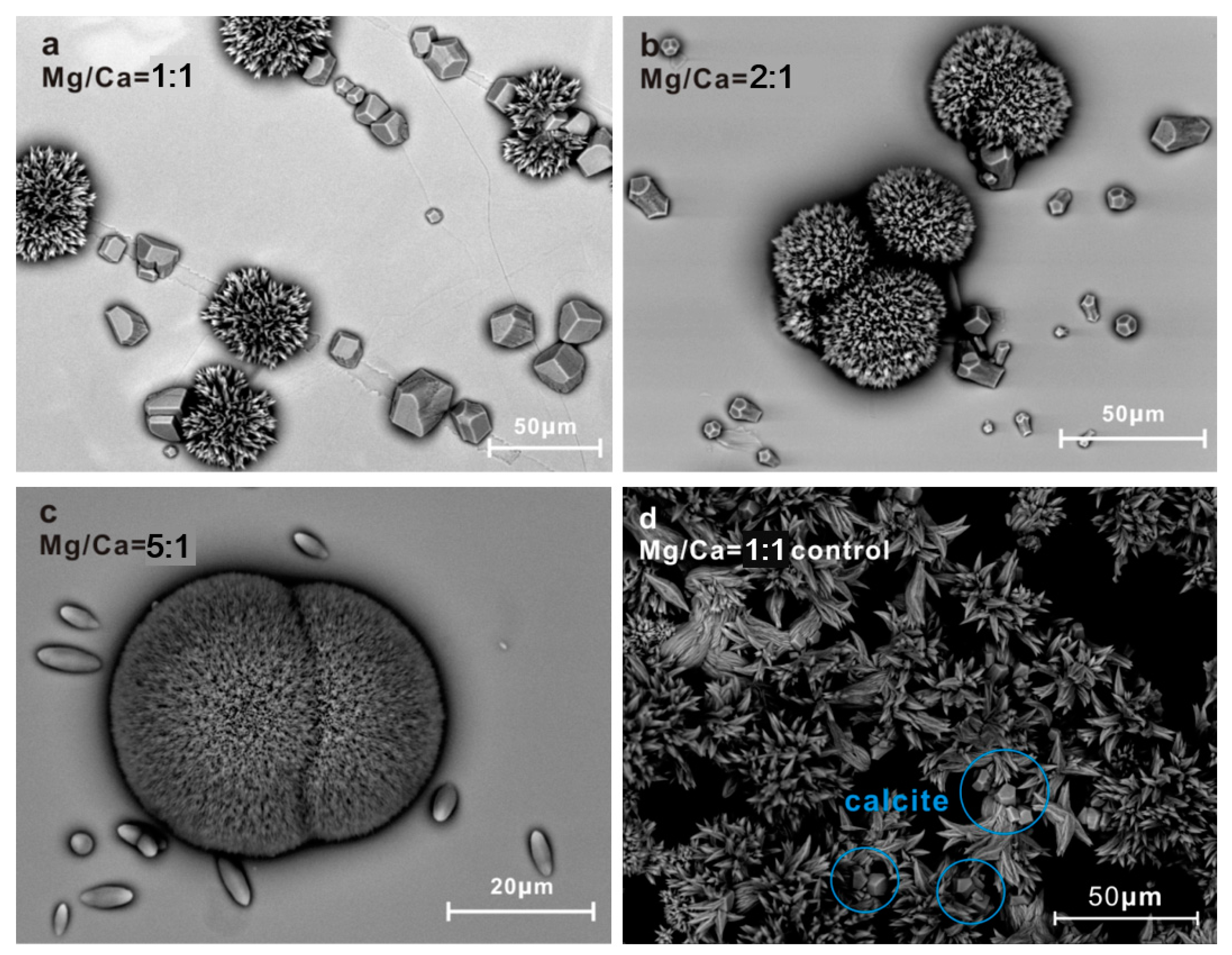 Minerals 08 00017 g008