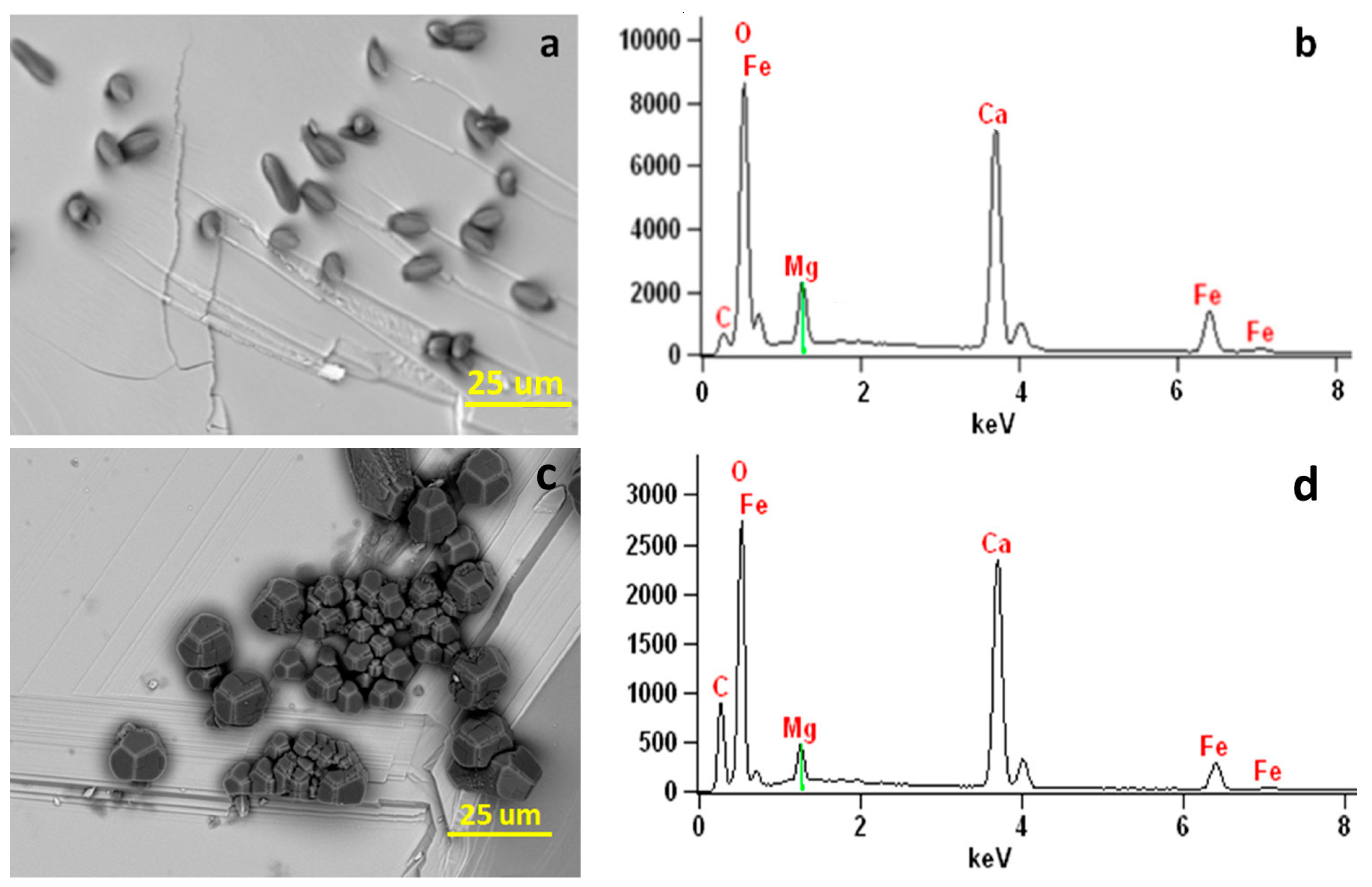 Minerals 08 00017 g010