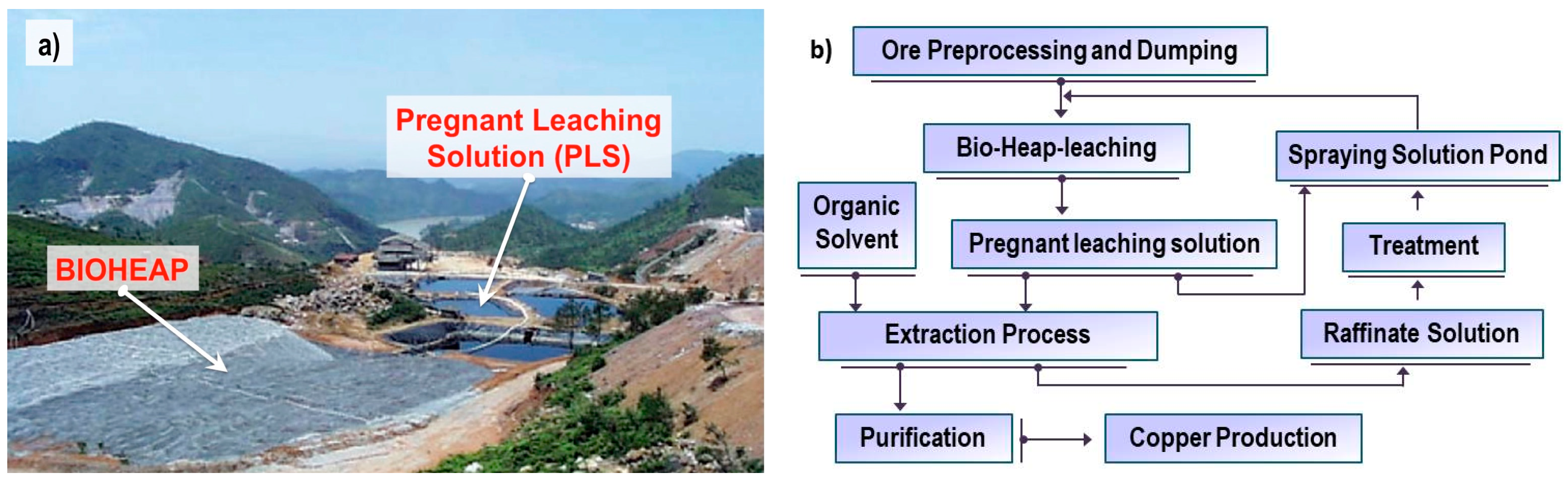 Minerals 08 00032 g003