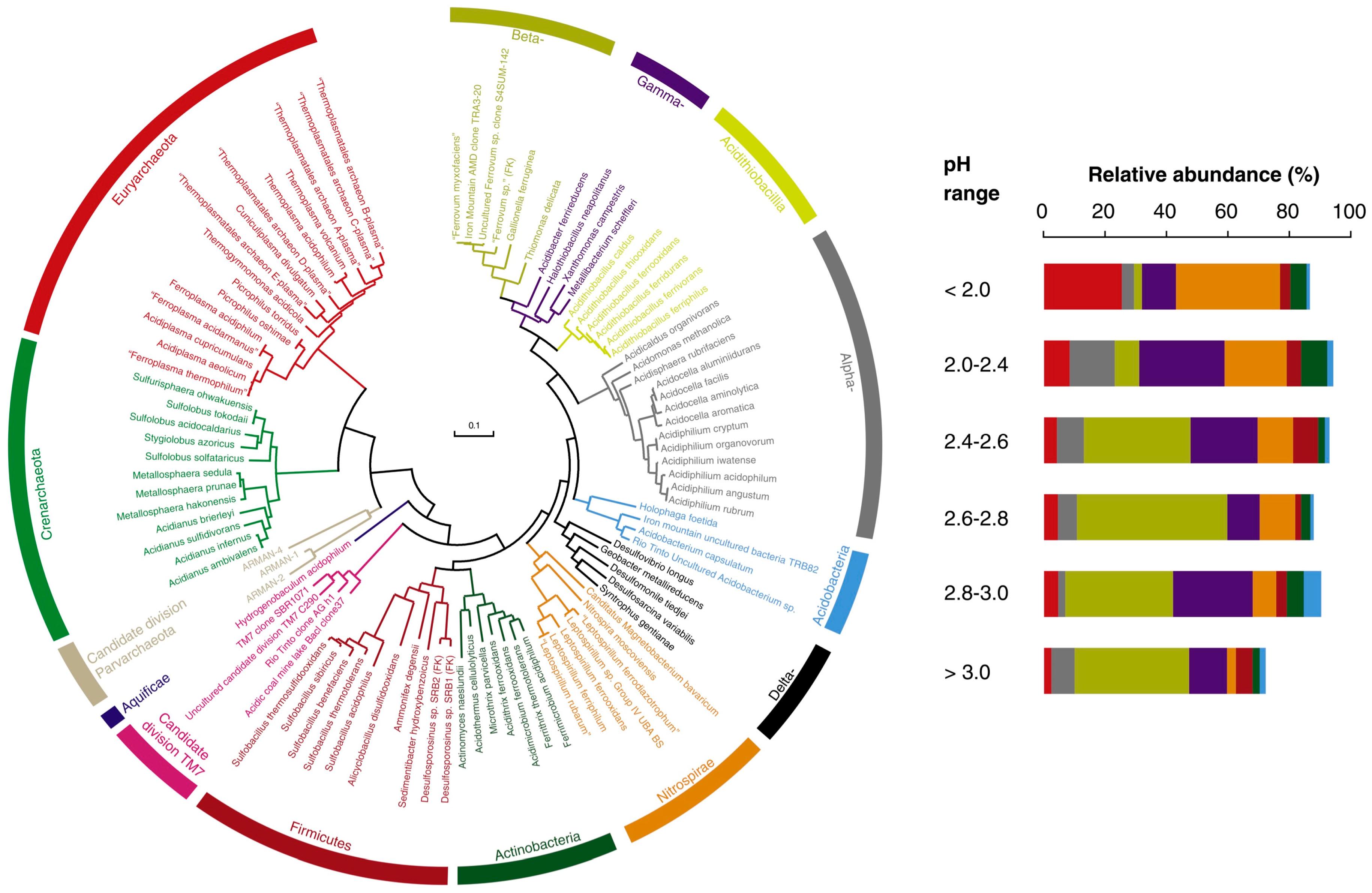 Minerals 08 00032 g005