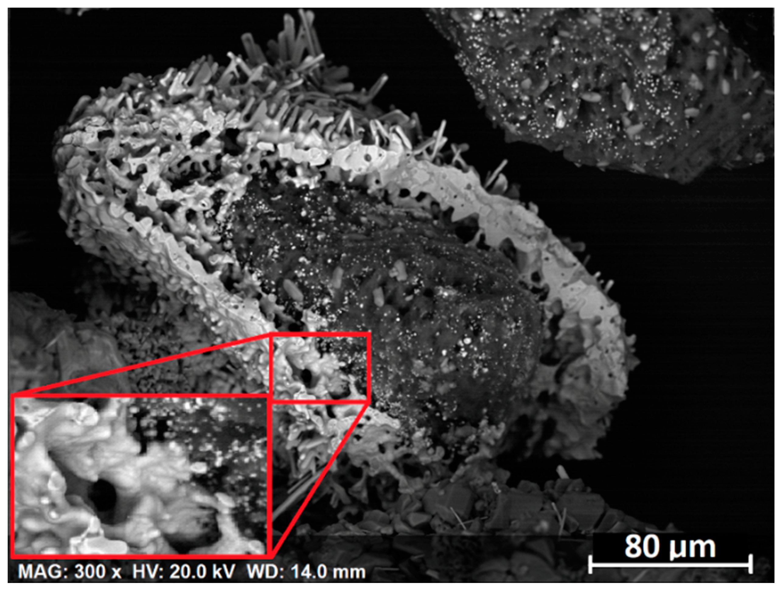 Minerals 08 00045 g007