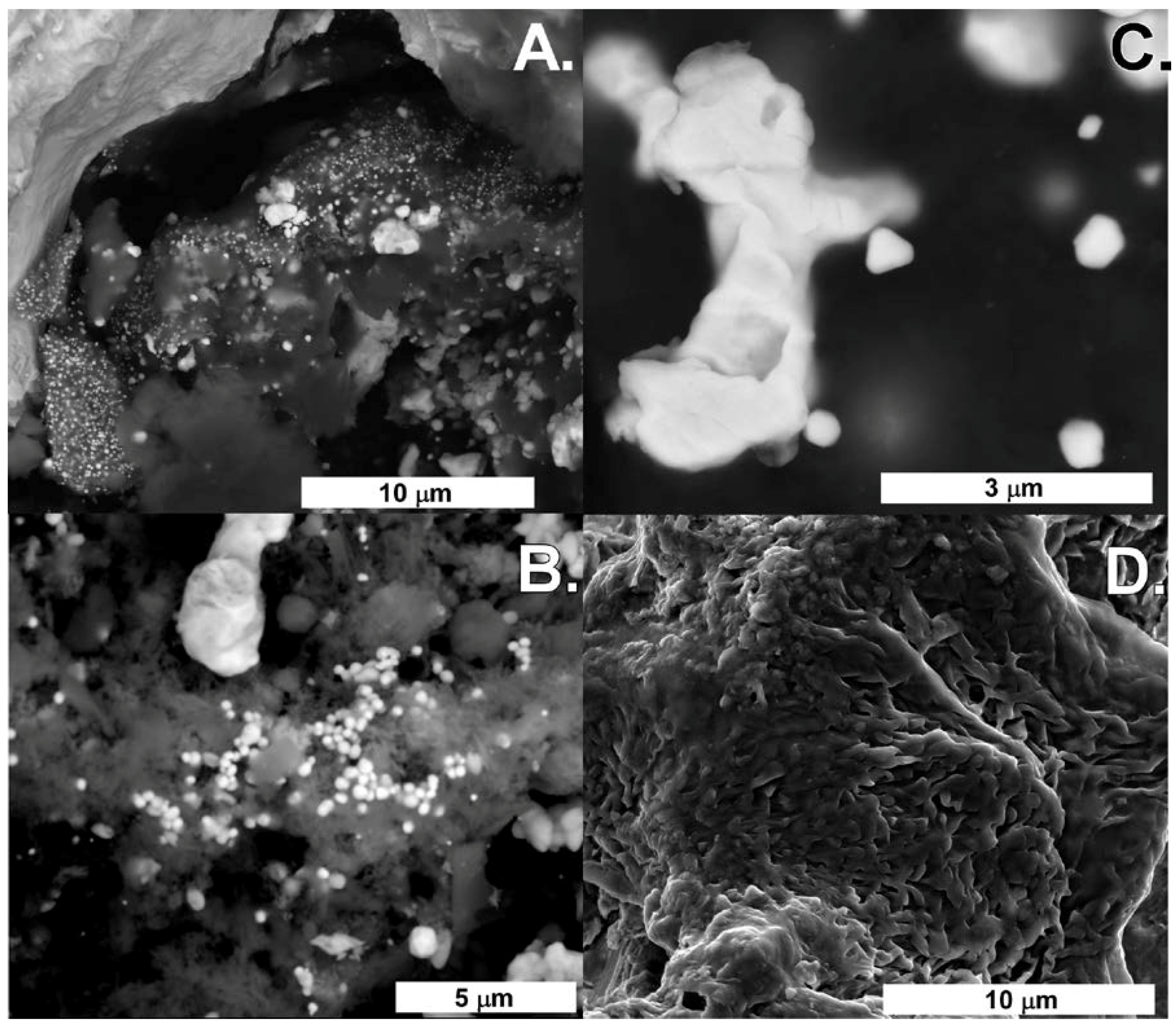 Minerals 08 00056 g005