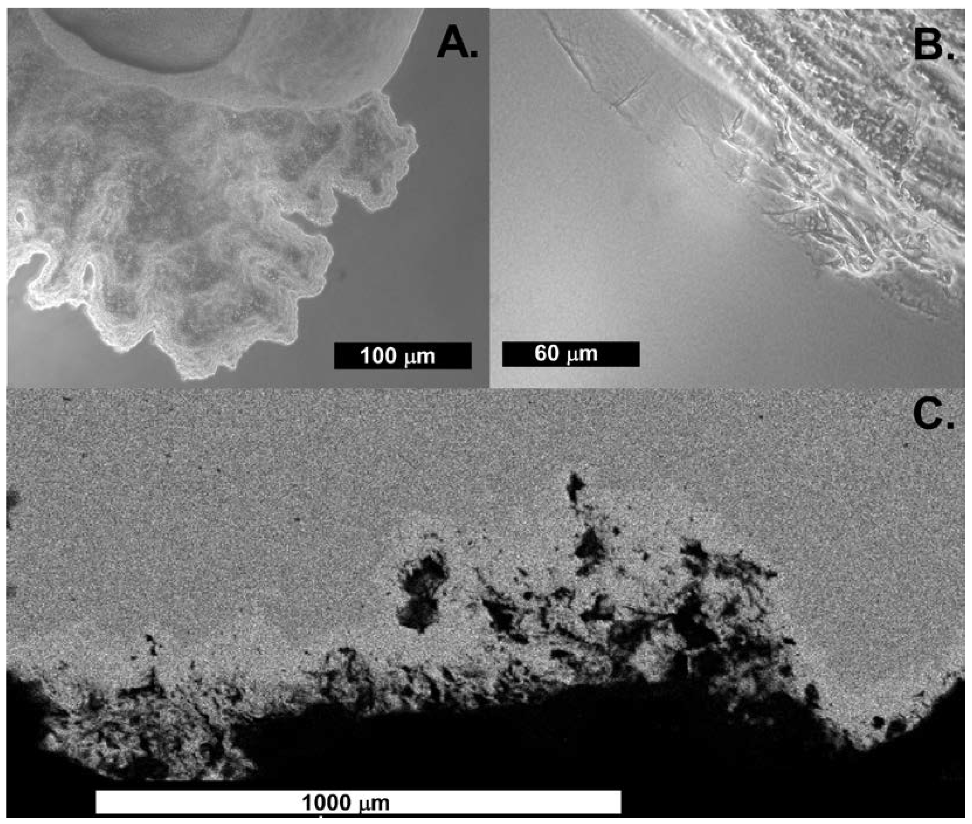 Minerals 08 00056 g007