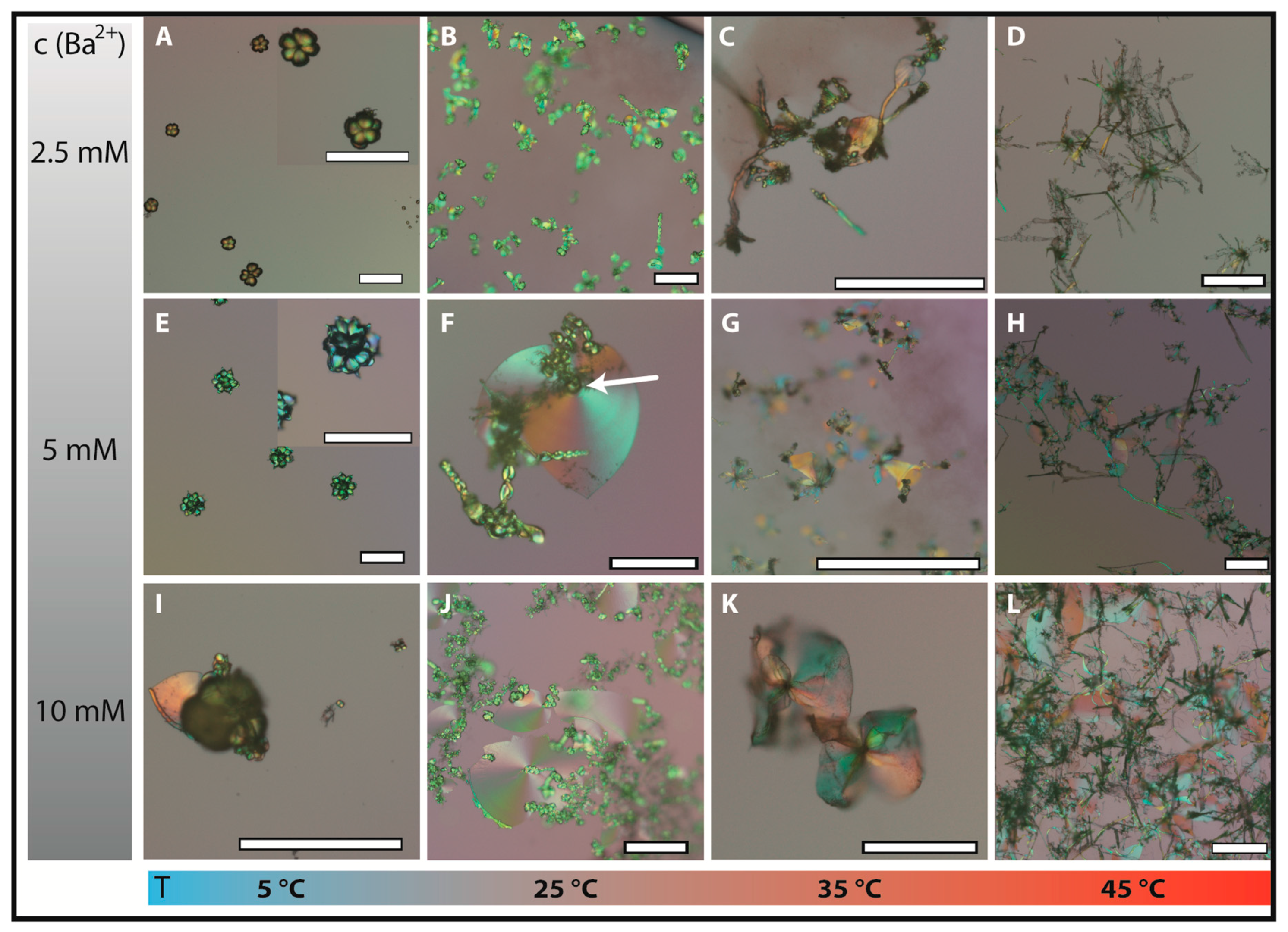 Minerals 08 00075 g002