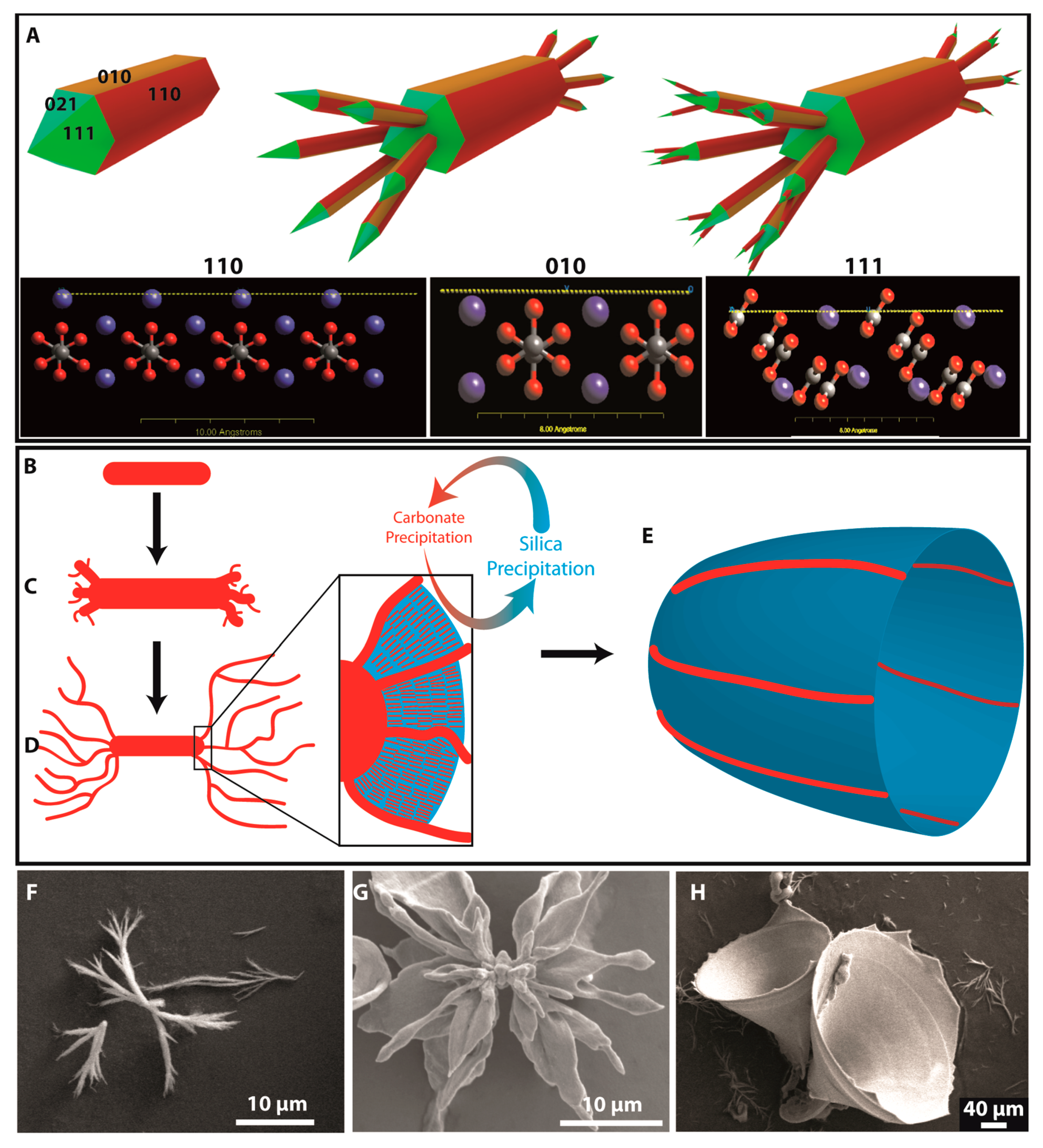 Minerals 08 00075 g003