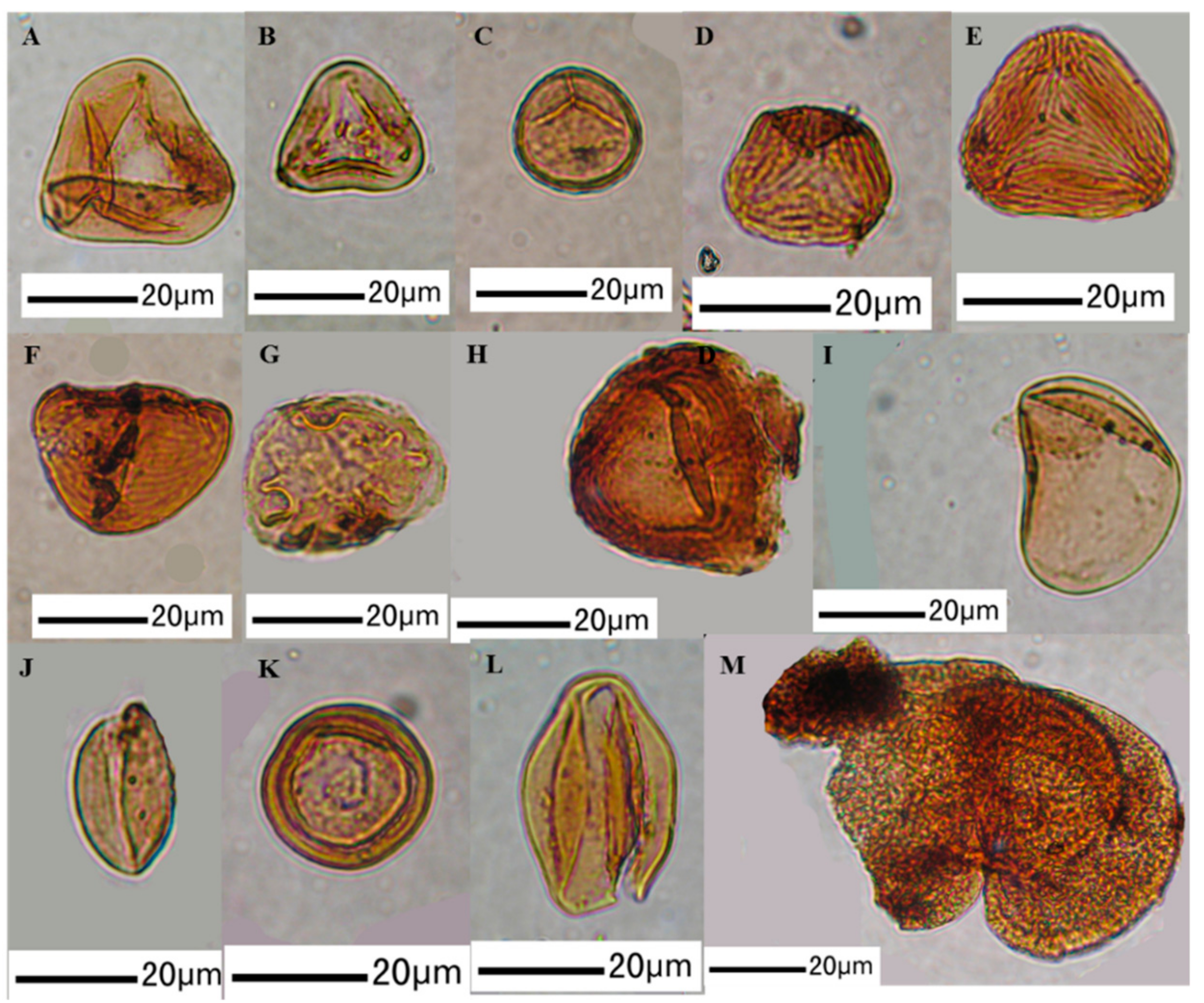 Minerals 08 00082 g005