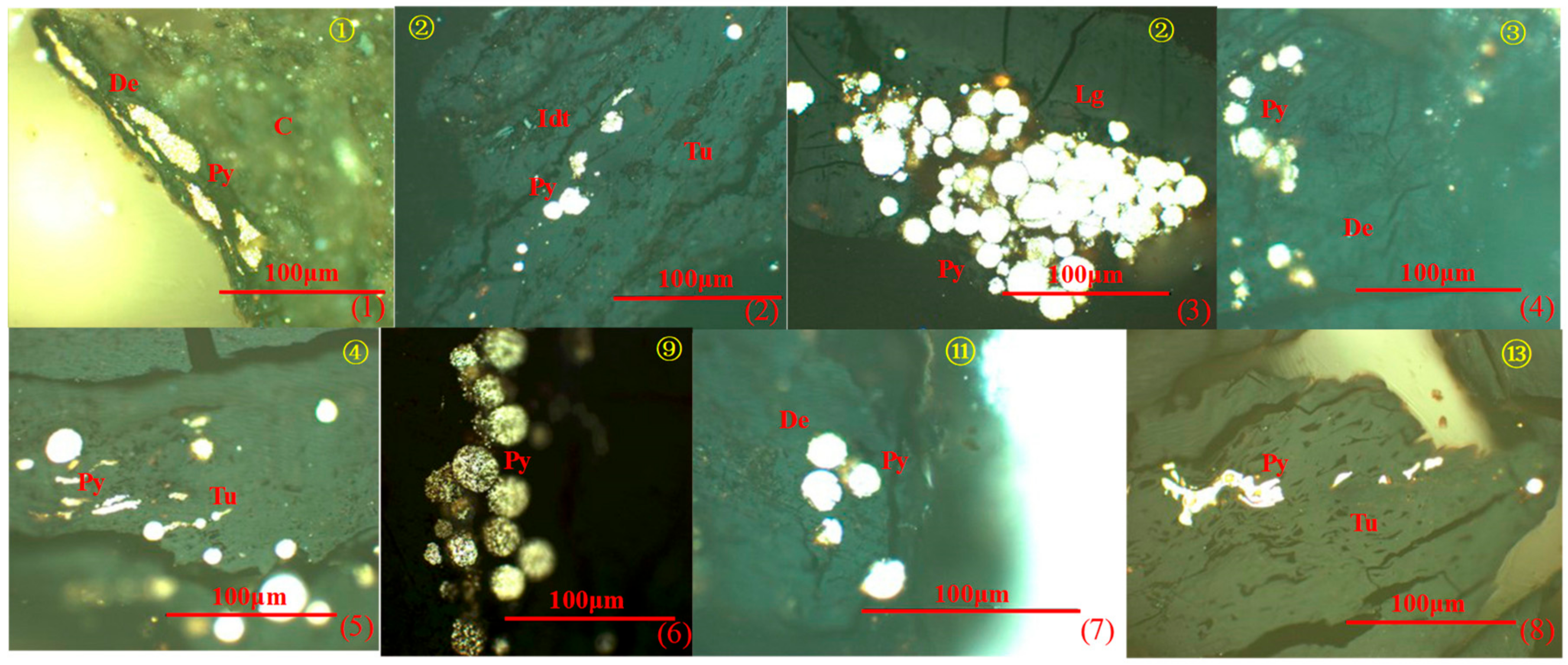 Minerals 08 00082 g009