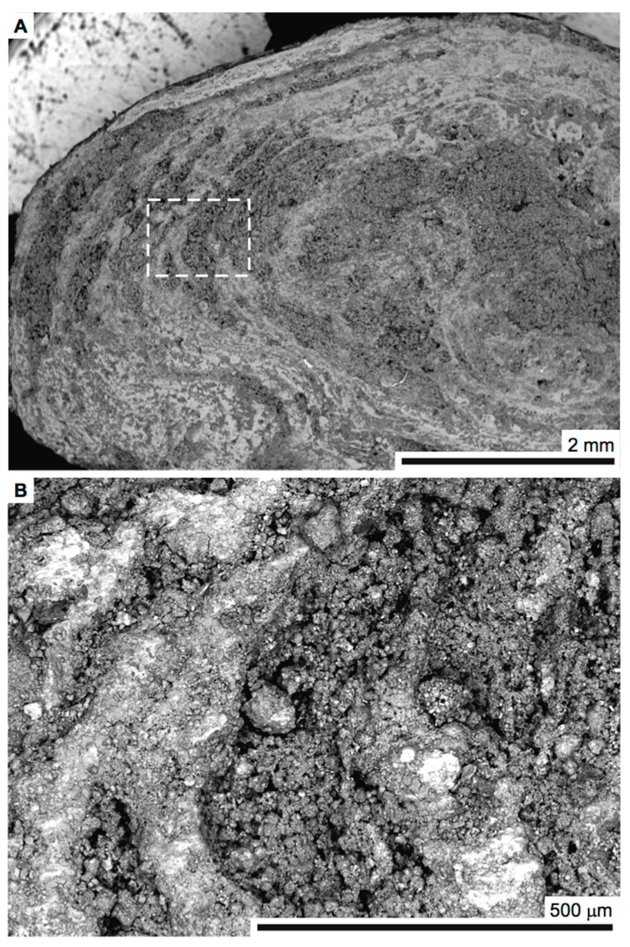 Minerals 08 00084 g001