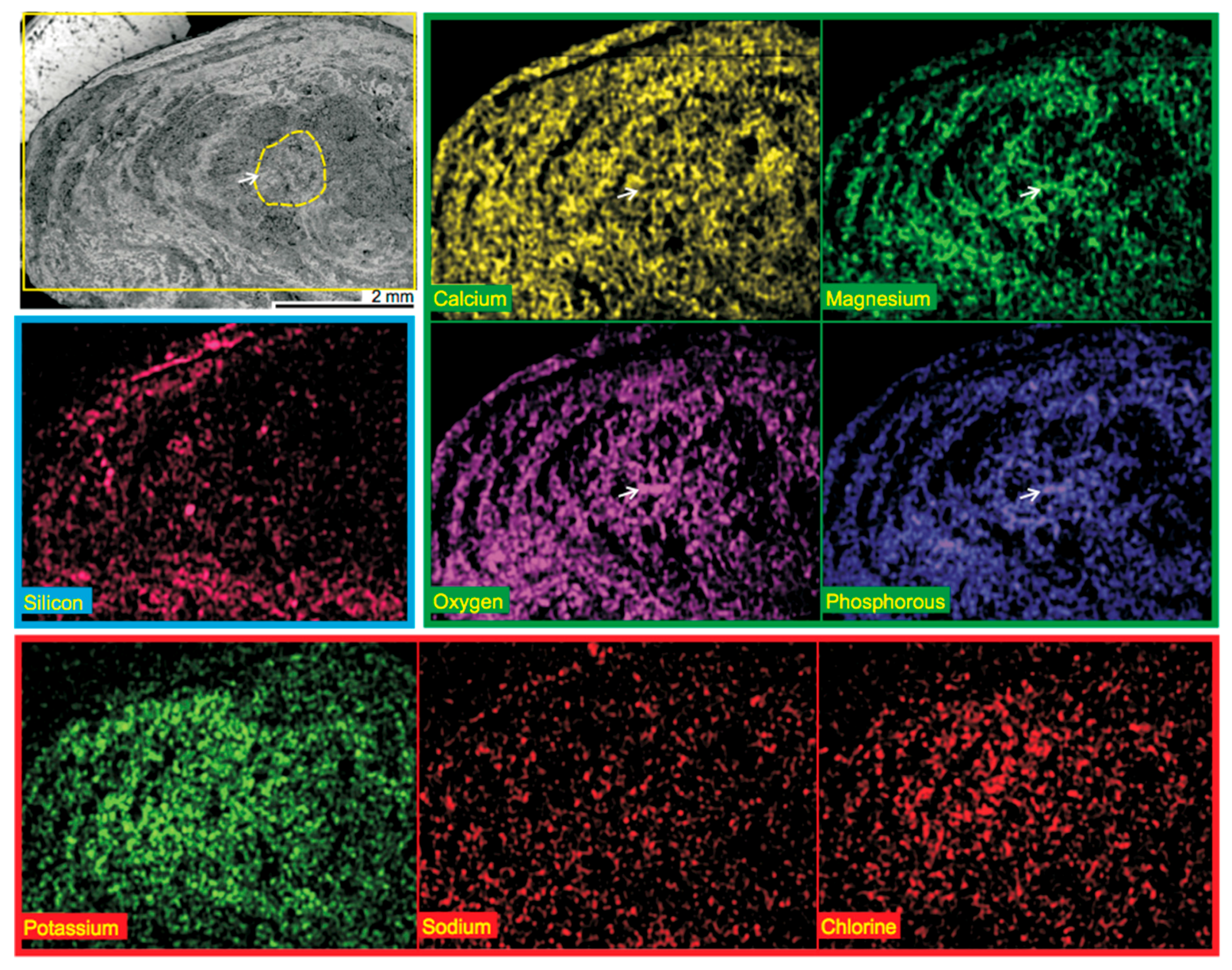 Minerals 08 00084 g005