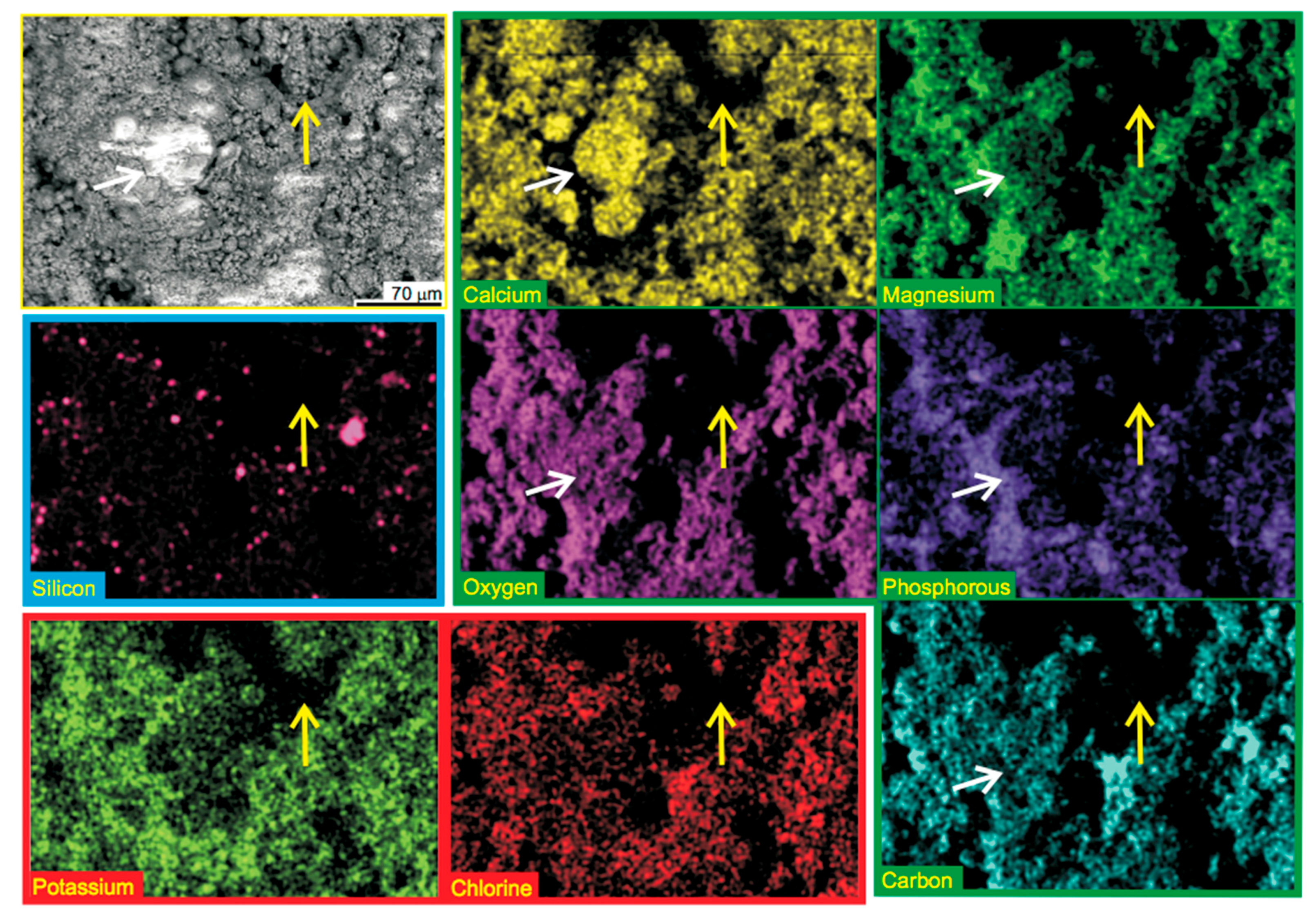Minerals 08 00084 g006
