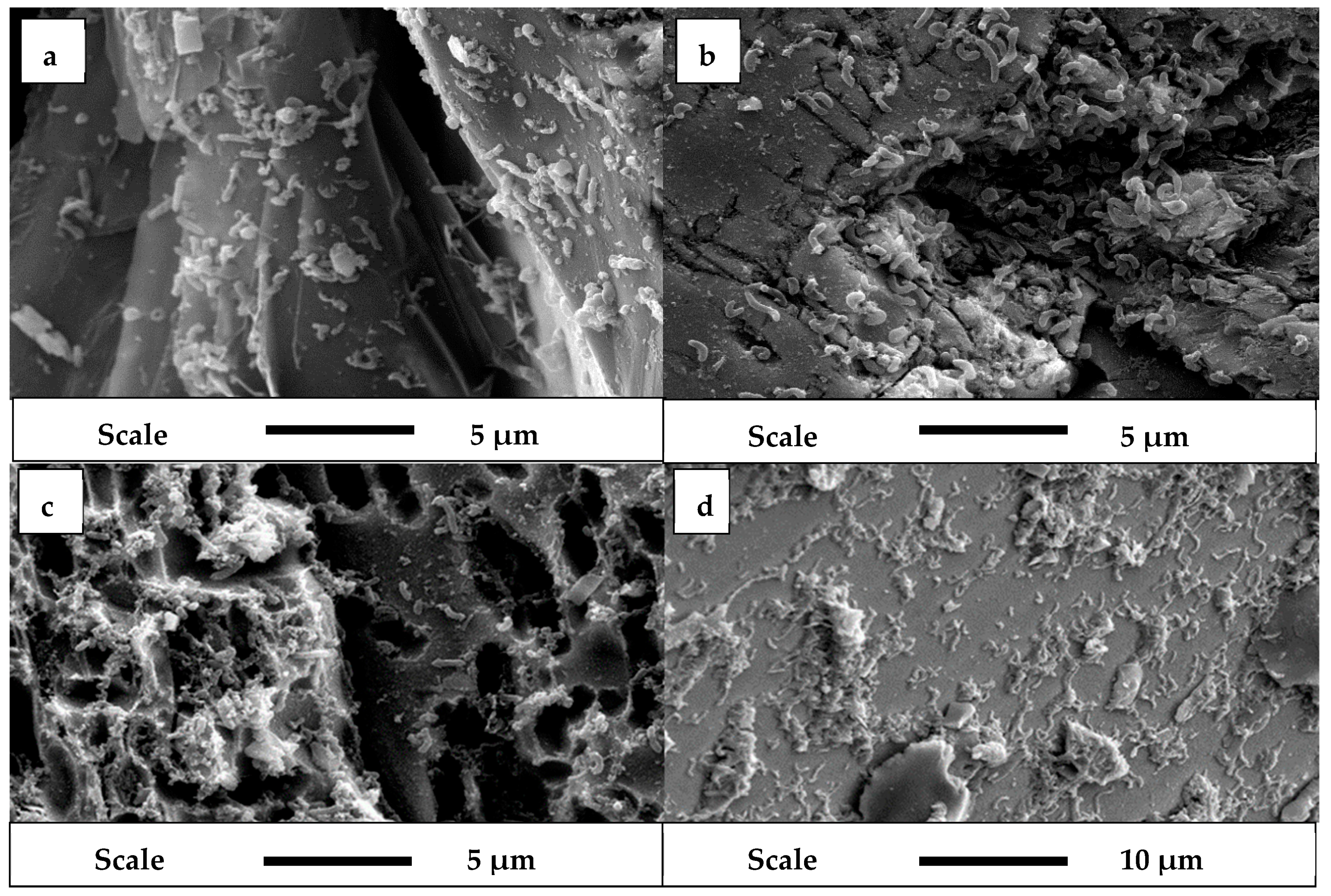 Minerals 08 00086 g002