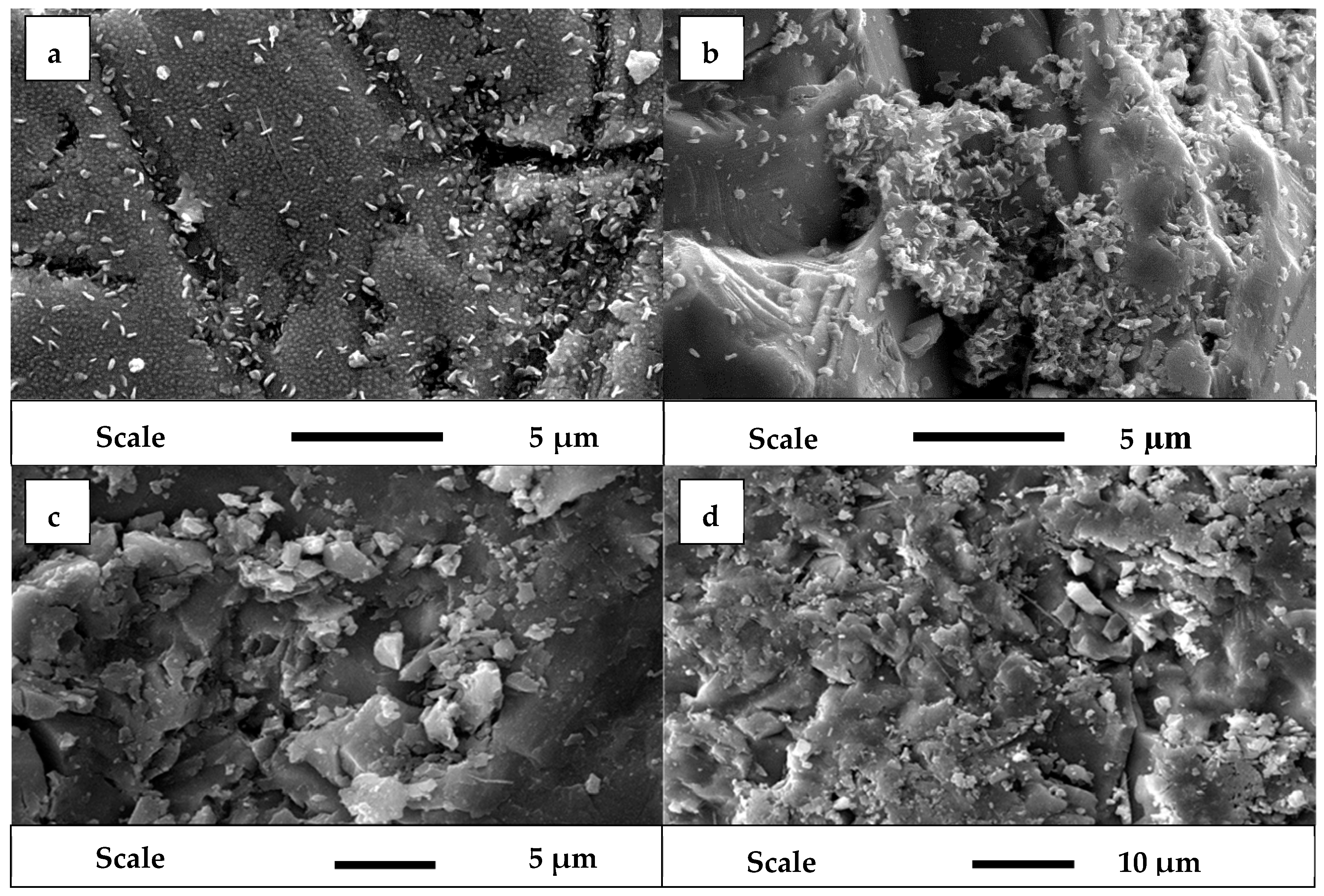 Minerals 08 00086 g003