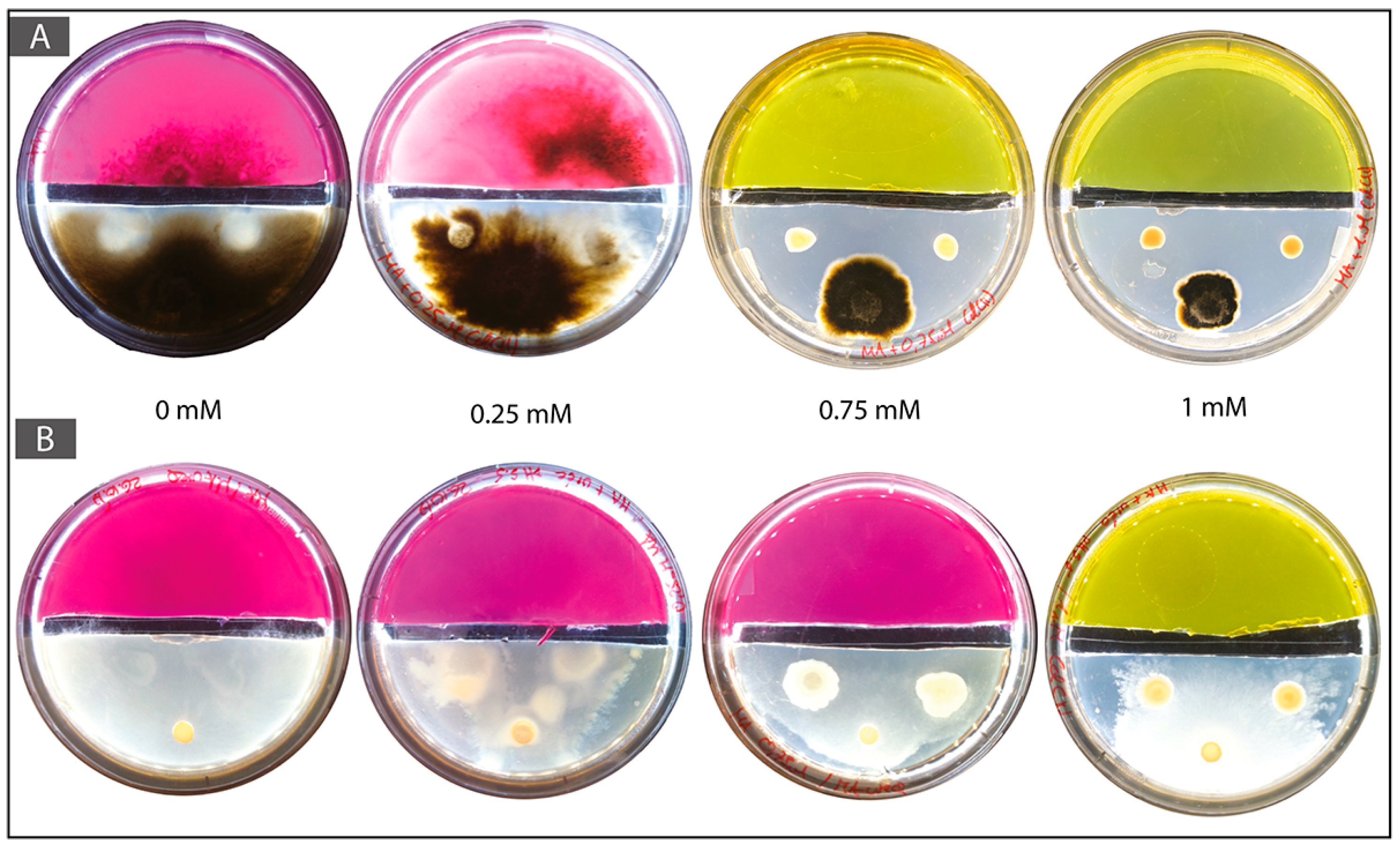 Minerals 08 00121 g005